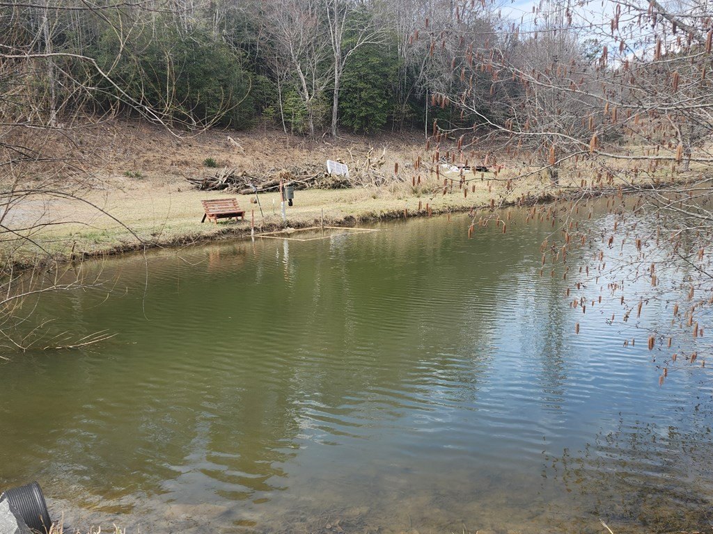 Murphy, North Carolina, 28906, United States, ,Residential,For Sale,1864976