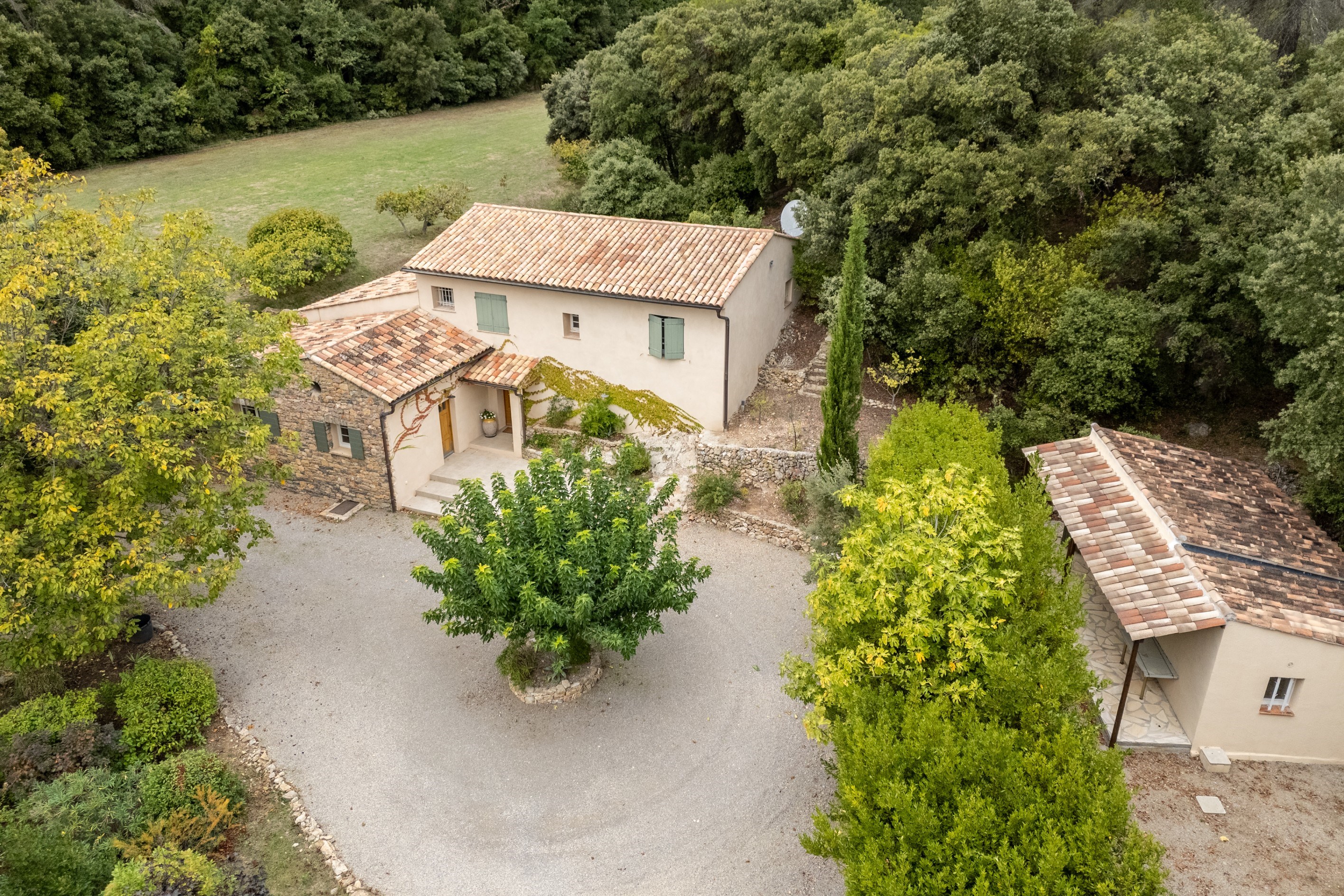  Prestigious Estate with Olive Grove - 物件實景