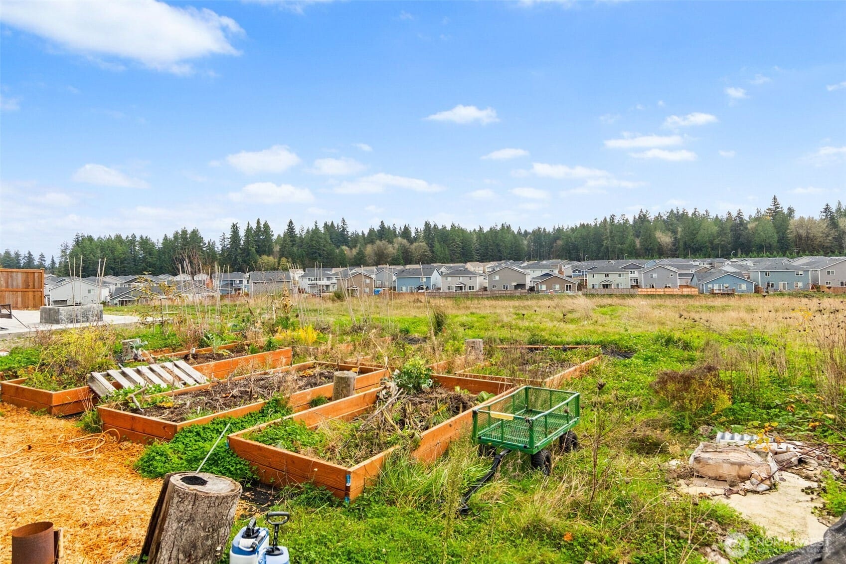 Olympia, Washington, 98501, United States, 4 Bedrooms Bedrooms, ,3 BathroomsBathrooms,Residential,For Sale,1997535