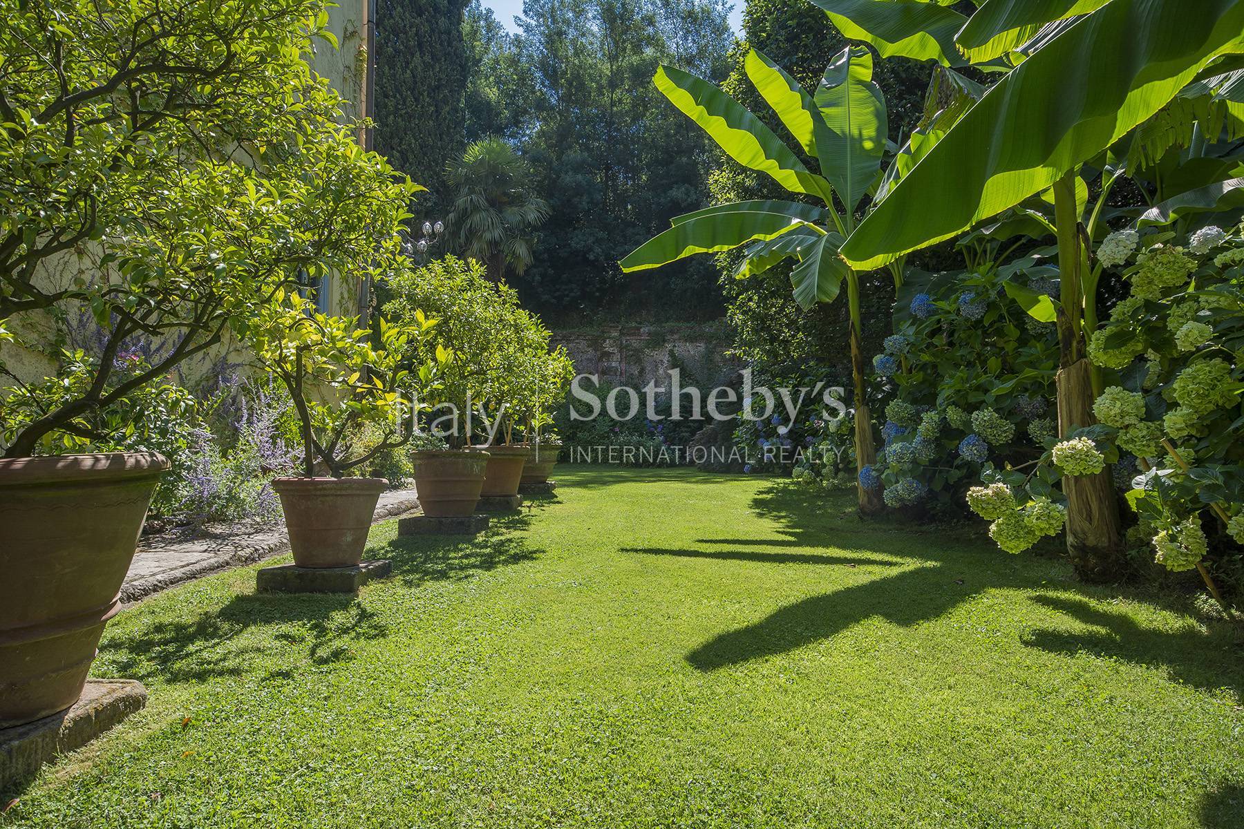  Exclusive villa in the countryside of Lucca - 物件實景