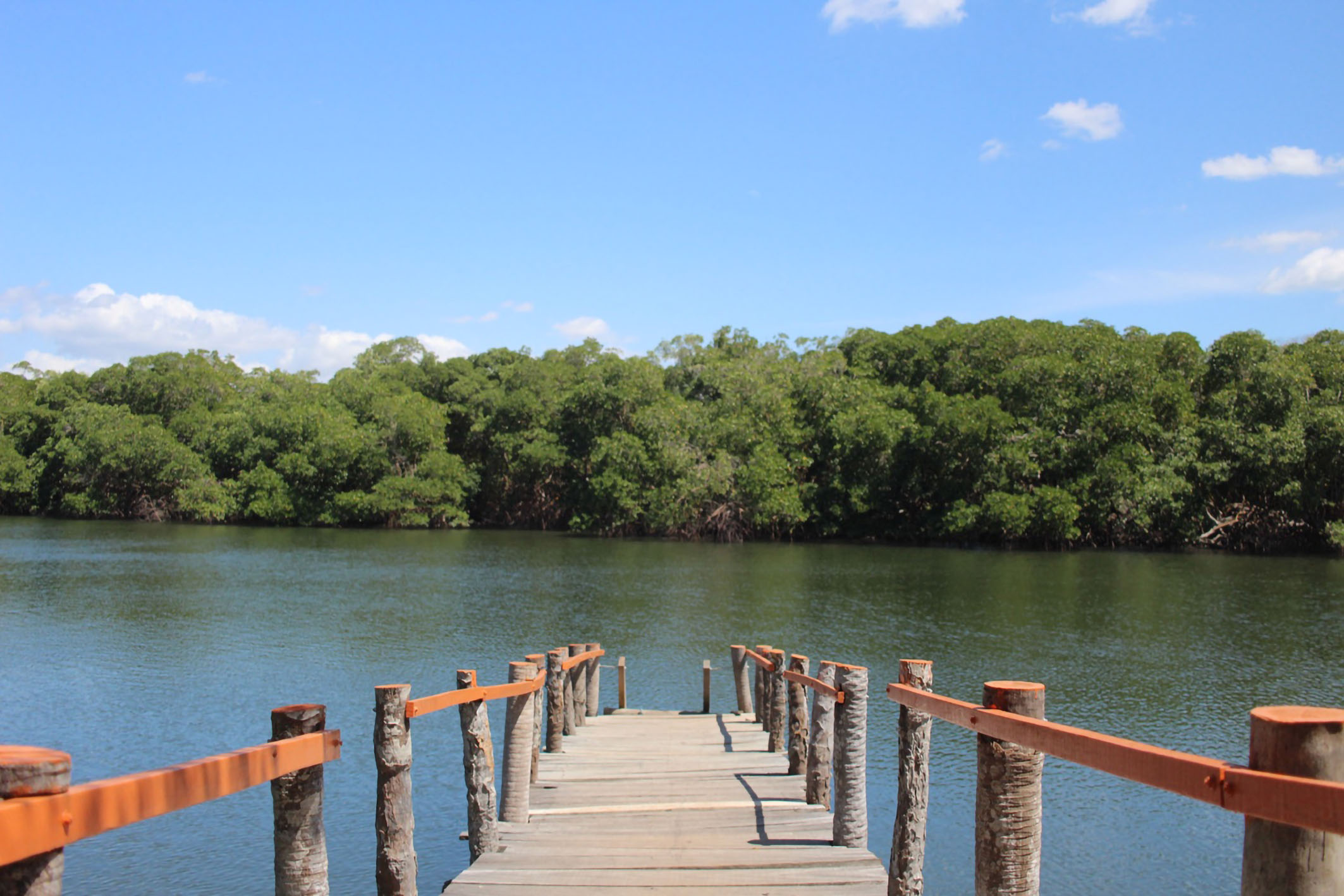  Morada Barlavento: A Retreat of Sophistication and Nature - 物件實景