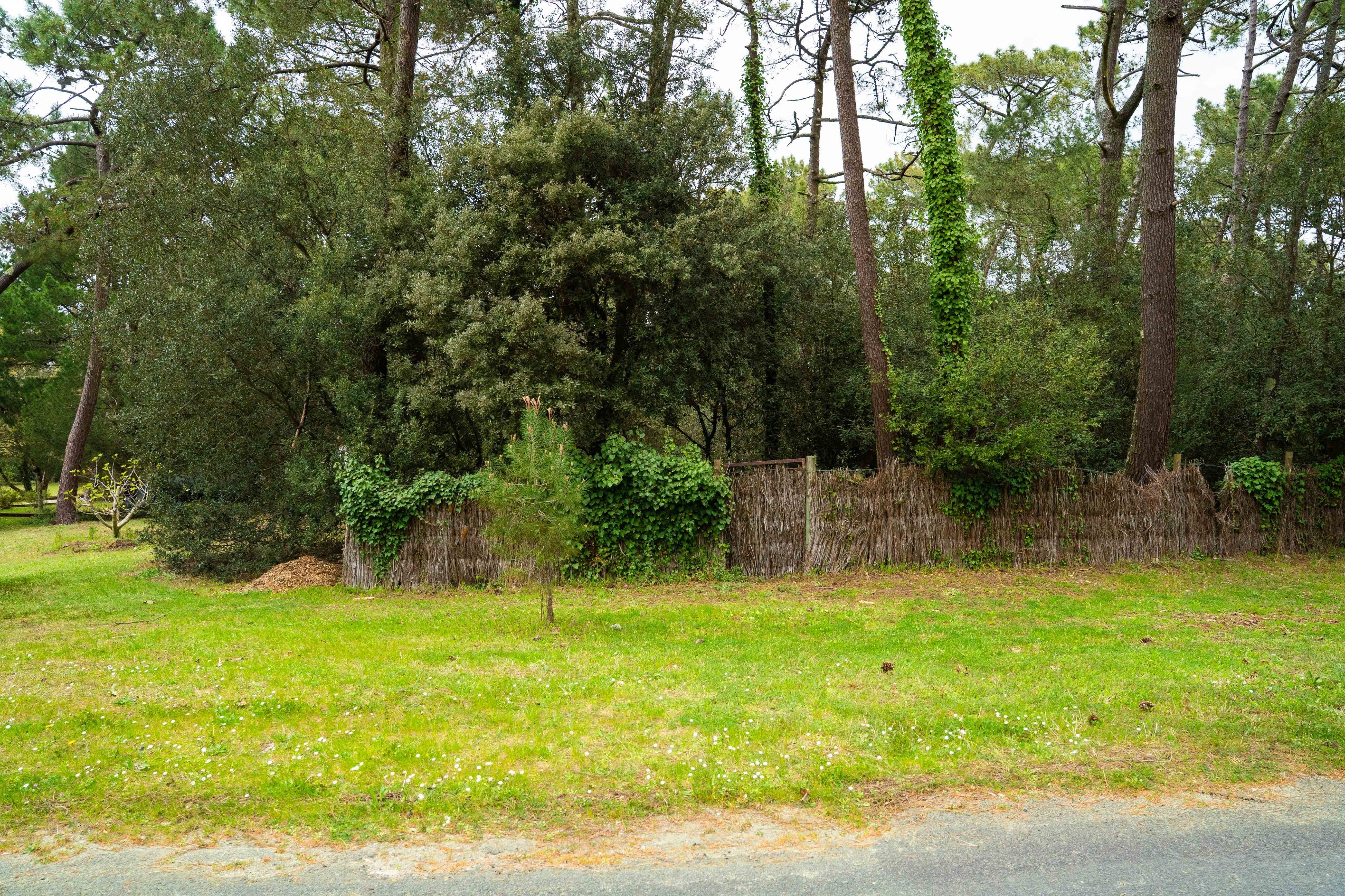  EXCEPTIONAL 1550 SQM PLOT PARK OF THE PALMYRE RESIDENCE - 物件實景