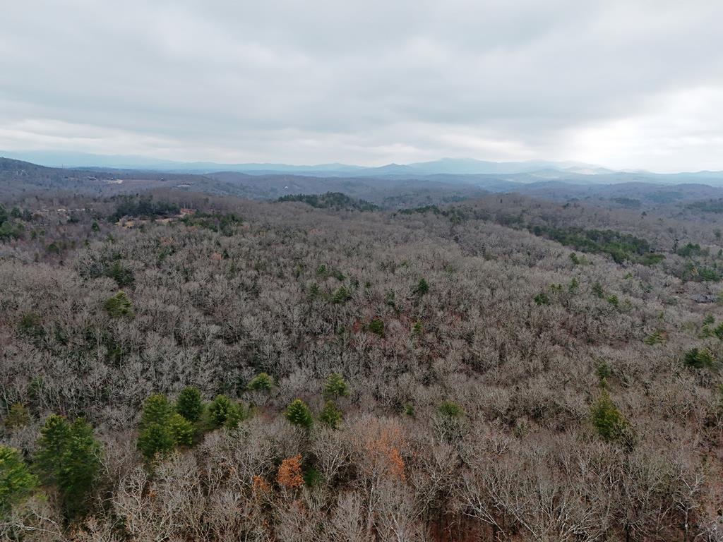 Blue Ridge, Georgia, 30513, United States, ,Land,For Sale,1859049