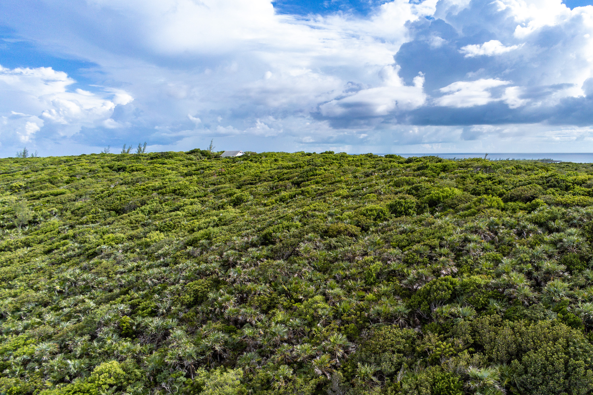  14.085 Acreage  North of Governors Harbour - 物件實景