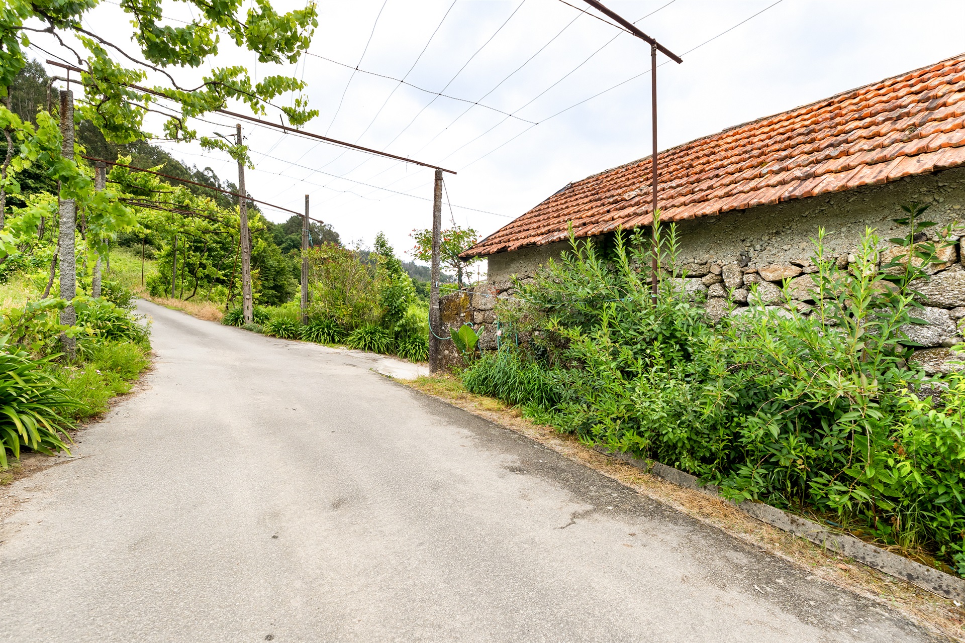  Farm, 3 bedrooms, for Sale - 物件實景