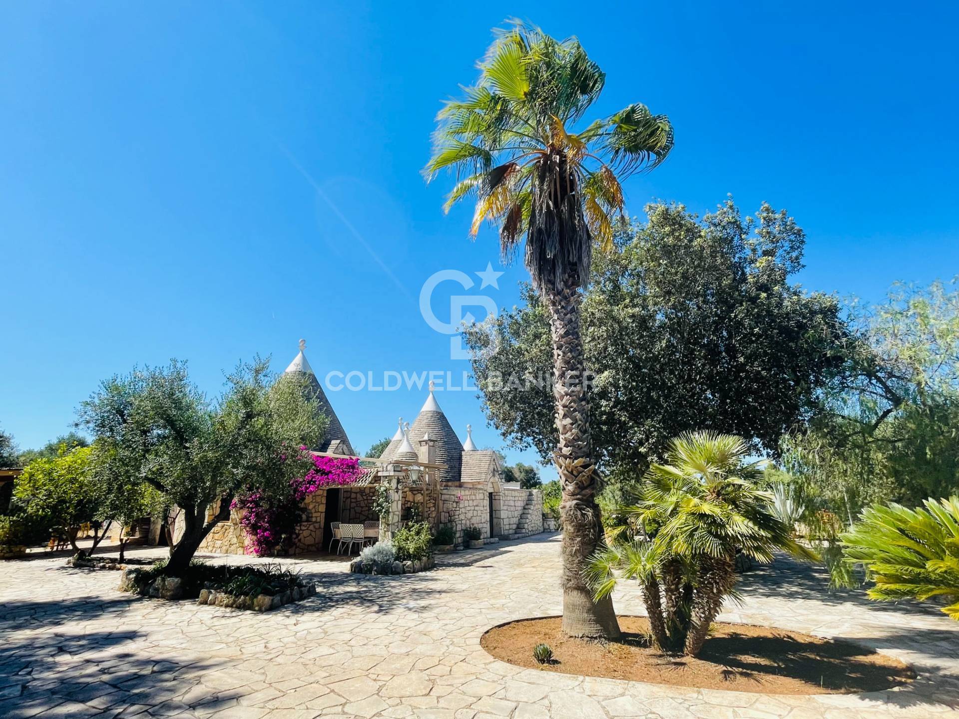San Michele Salentino, Brindisi, 72018, IT, 3 Bedrooms Bedrooms, ,2 BathroomsBathrooms,Residential,For Sale,1847397