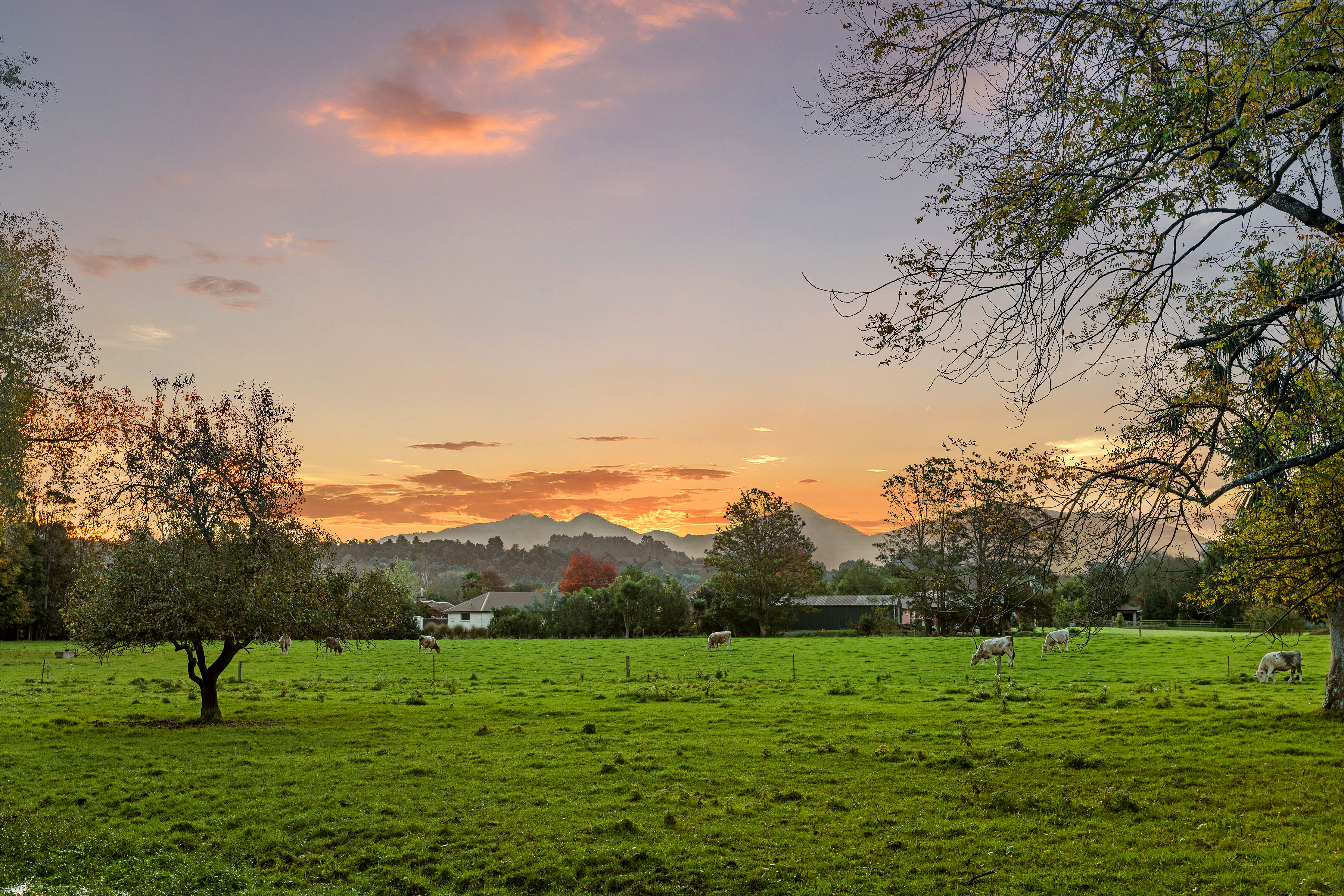  Landmark Homestead rezoned with substantial landbank - 物件實景
