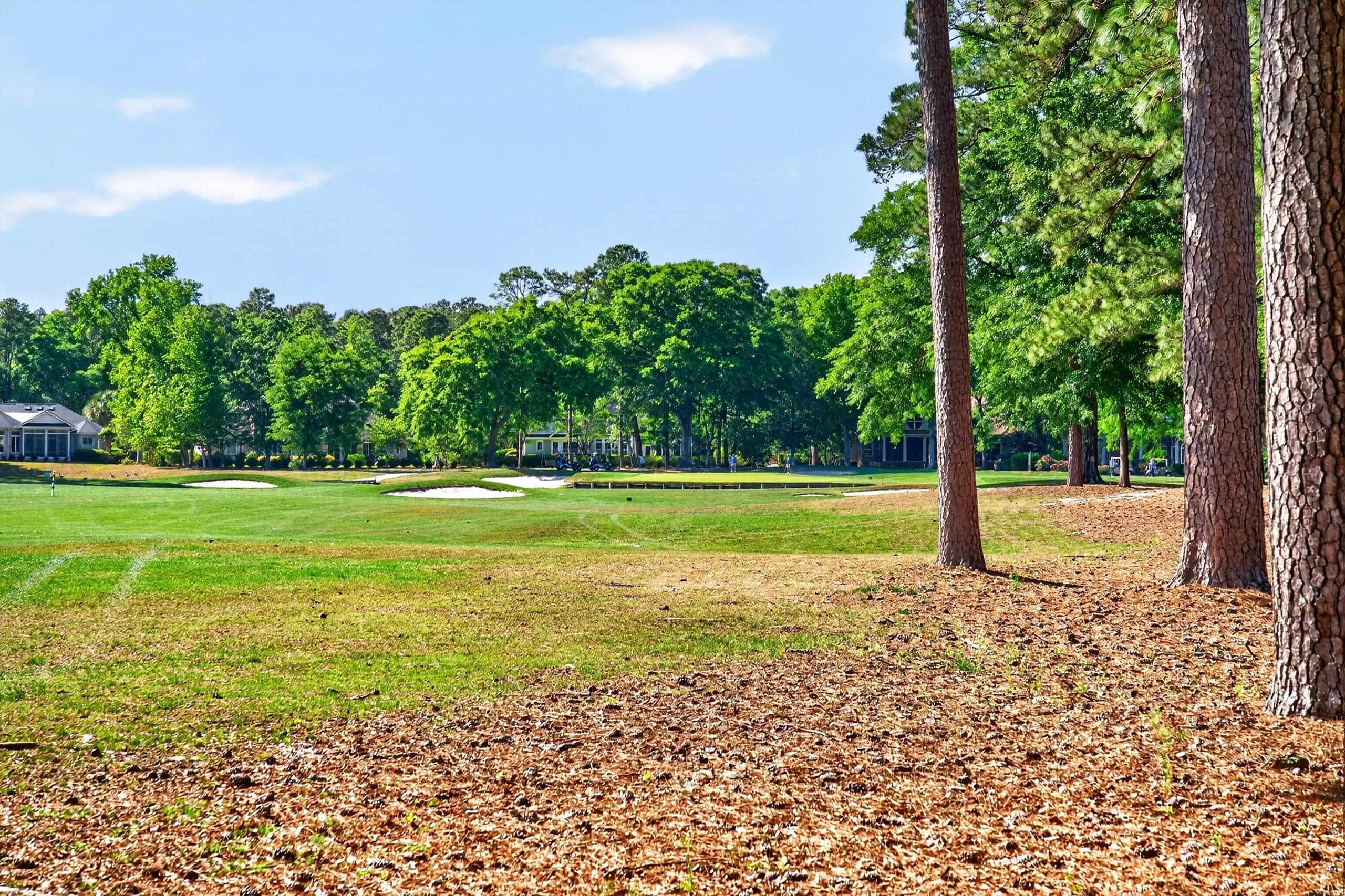  127 Weehawka Way -  Unit 3  Pawleys Plantation - 物件實景