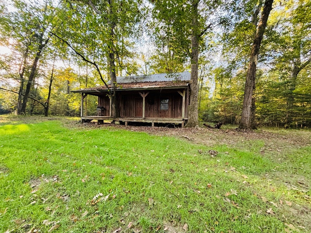 Abbeville, Georgia, 31001, United States, ,Land,For Sale,1975130