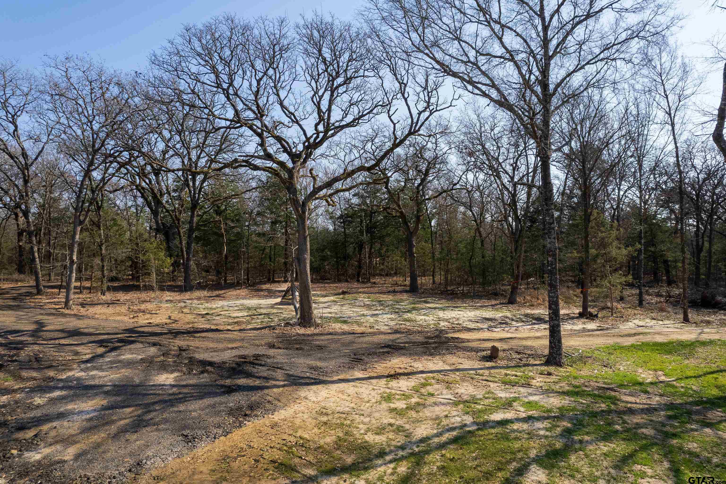Cumby, Texas, 75433, United States, ,Land,For Sale,1974117