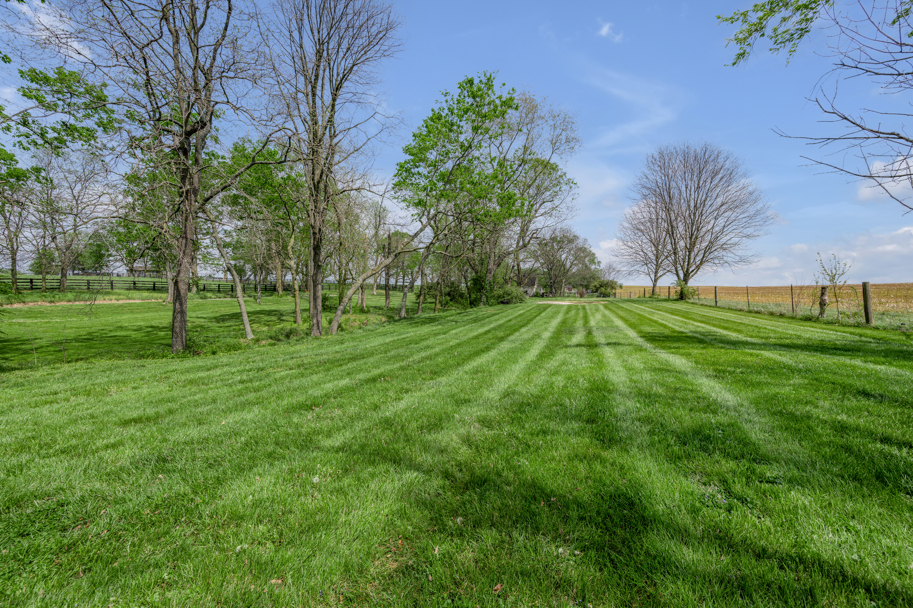  905 Pretty Run Road - 物件實景
