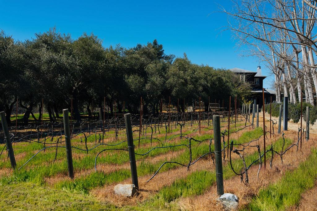 Saint Helena, California, 94574, United States, ,Residential,For Sale,1736432