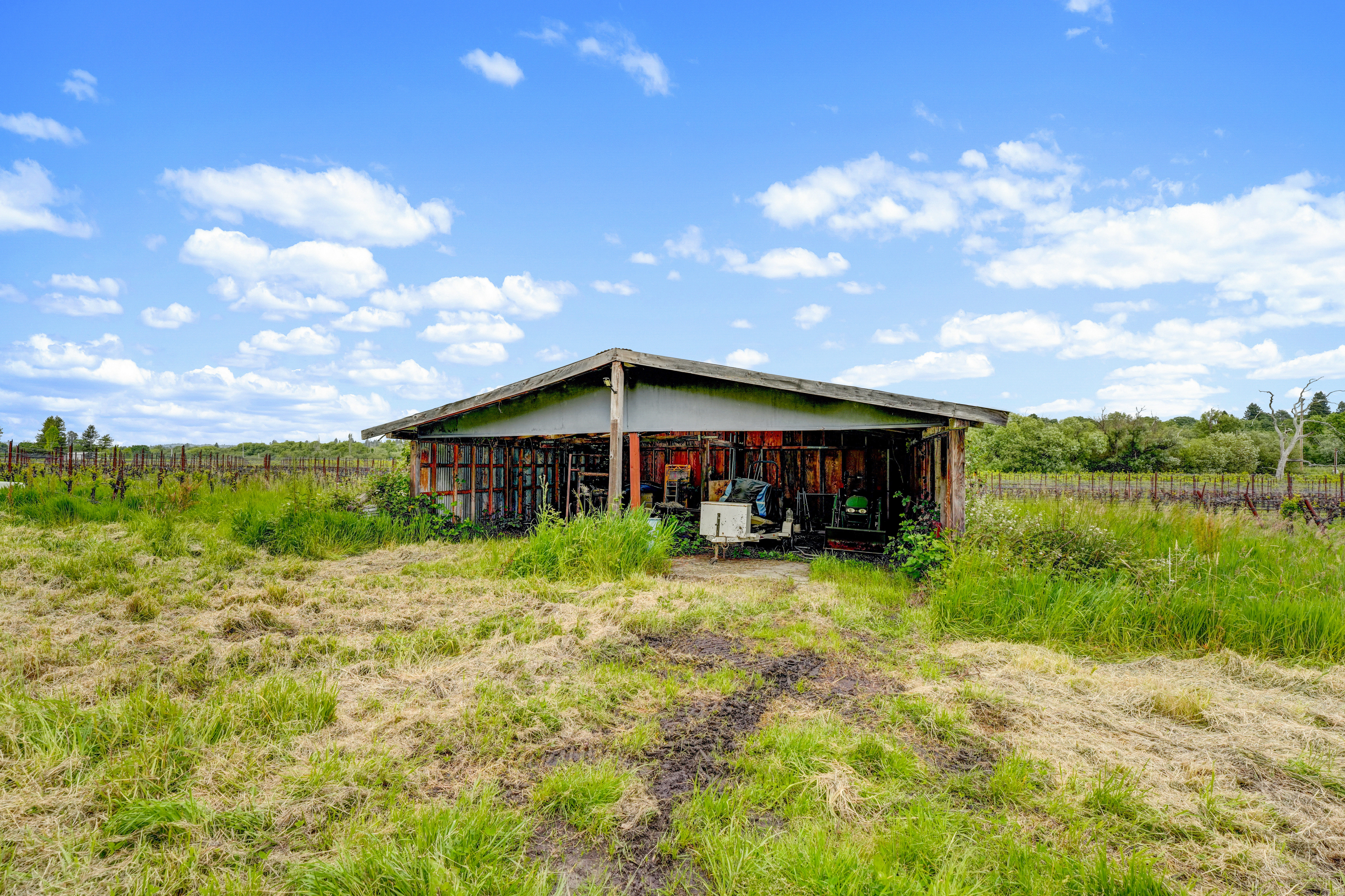  9700 Mill Station Road, Sebastopol, CA 95472 - 物件實景