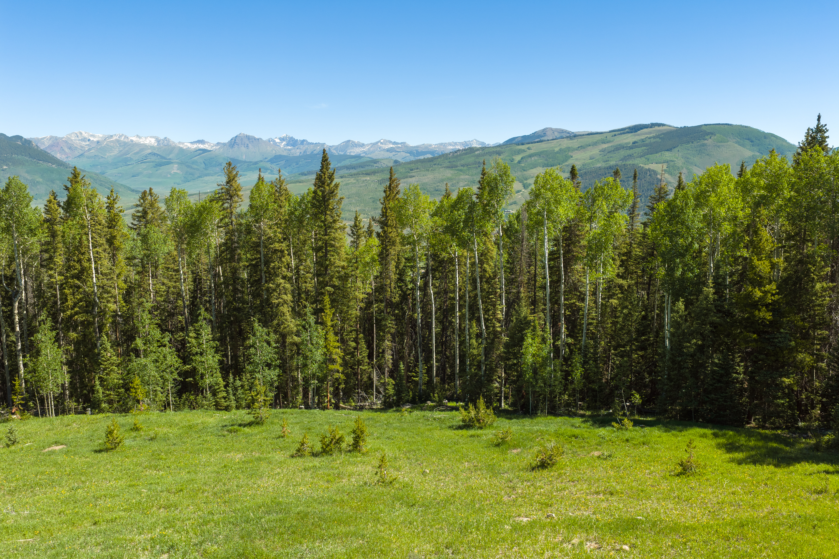  141 White Buffalo Trail, Crested Butte, CO, 81224 - 物件實景