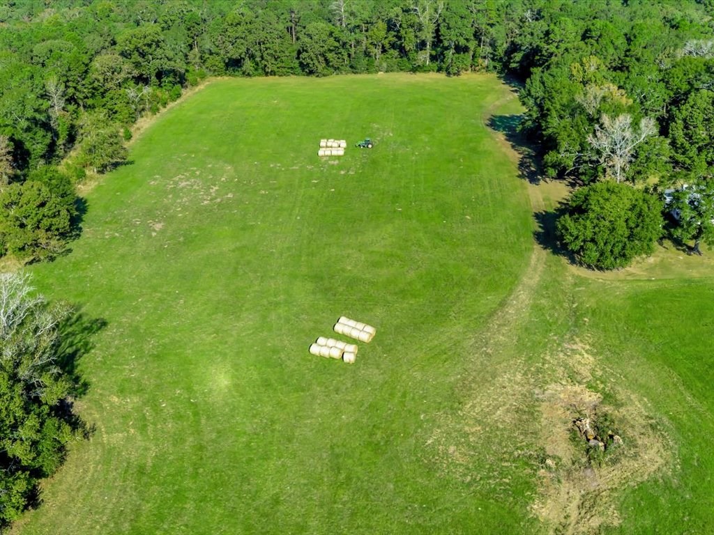 Huntington, Texas, 75949, United States, 4 Bedrooms Bedrooms, ,2 BathroomsBathrooms,Residential,For Sale,1975169