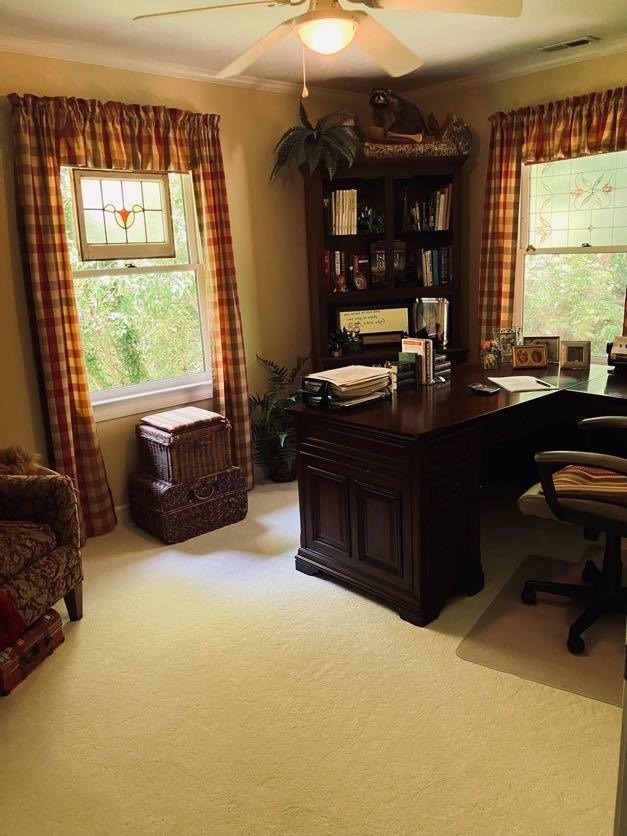Young Harris, Georgia, 30582, United States, 3 Bedrooms Bedrooms, ,3 BathroomsBathrooms,Residential,For Sale,1915067