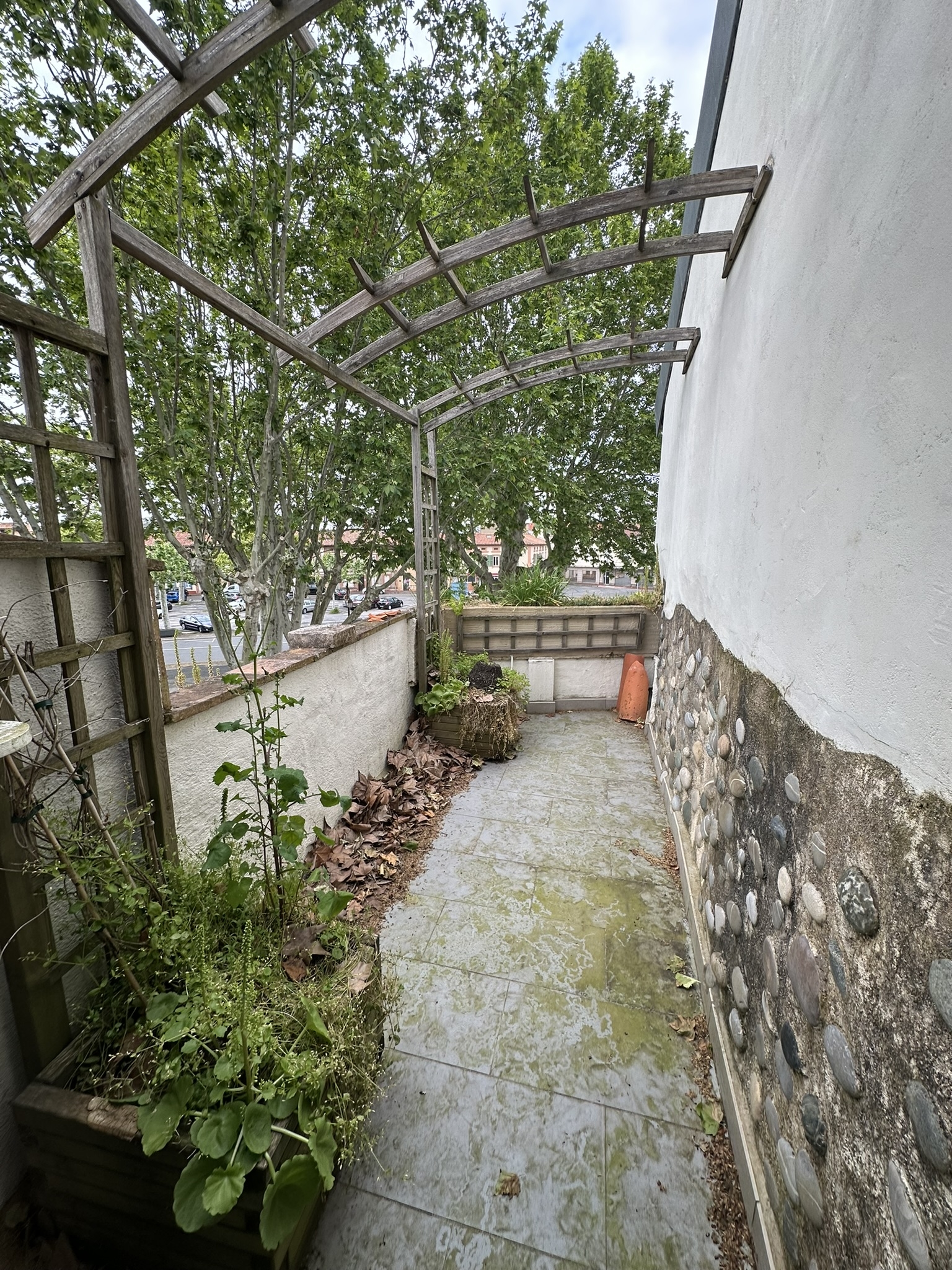  Maison - 物件實景