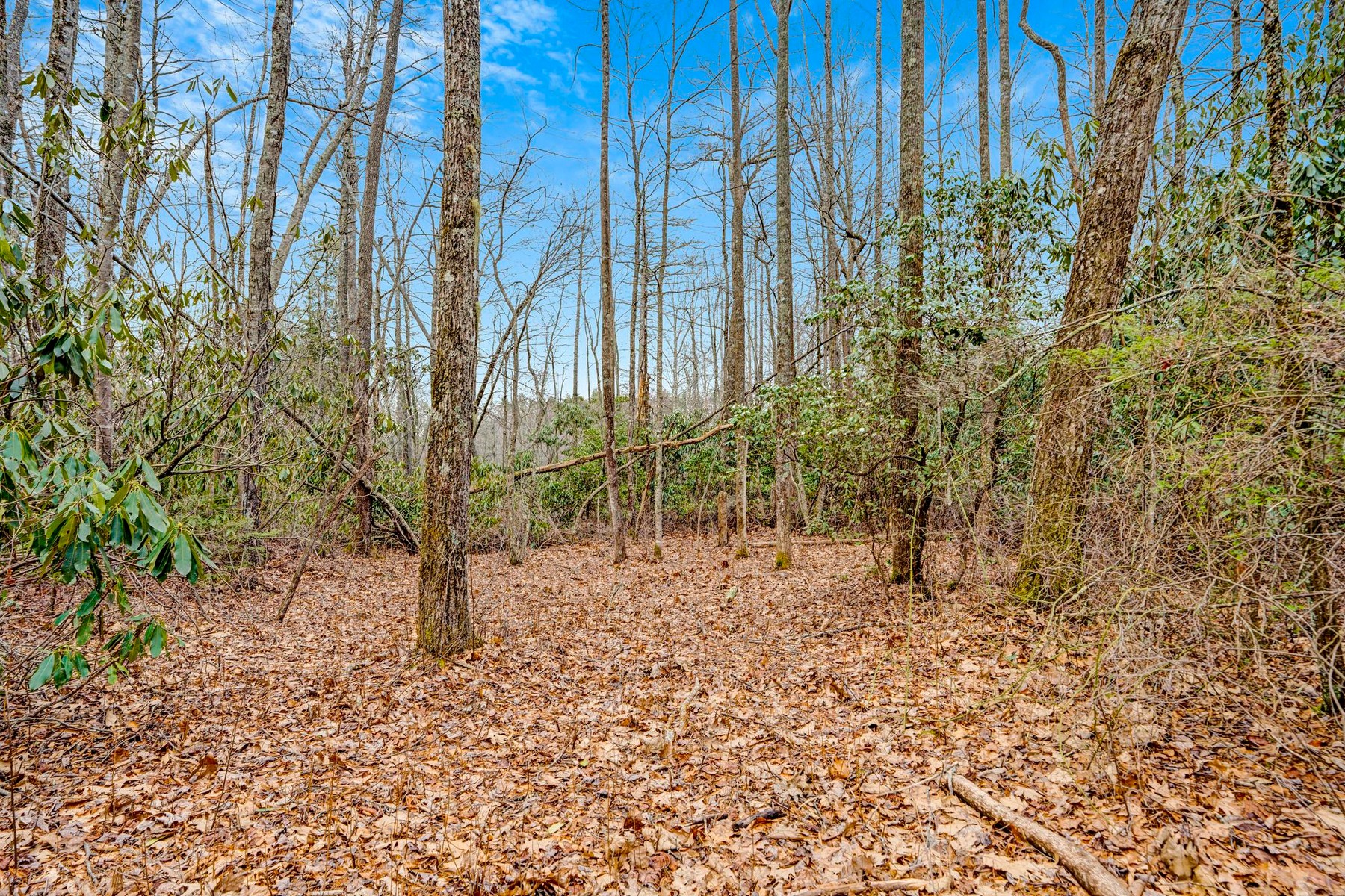  Lot 21 Hardscrabble Ridge Road - 物件實景