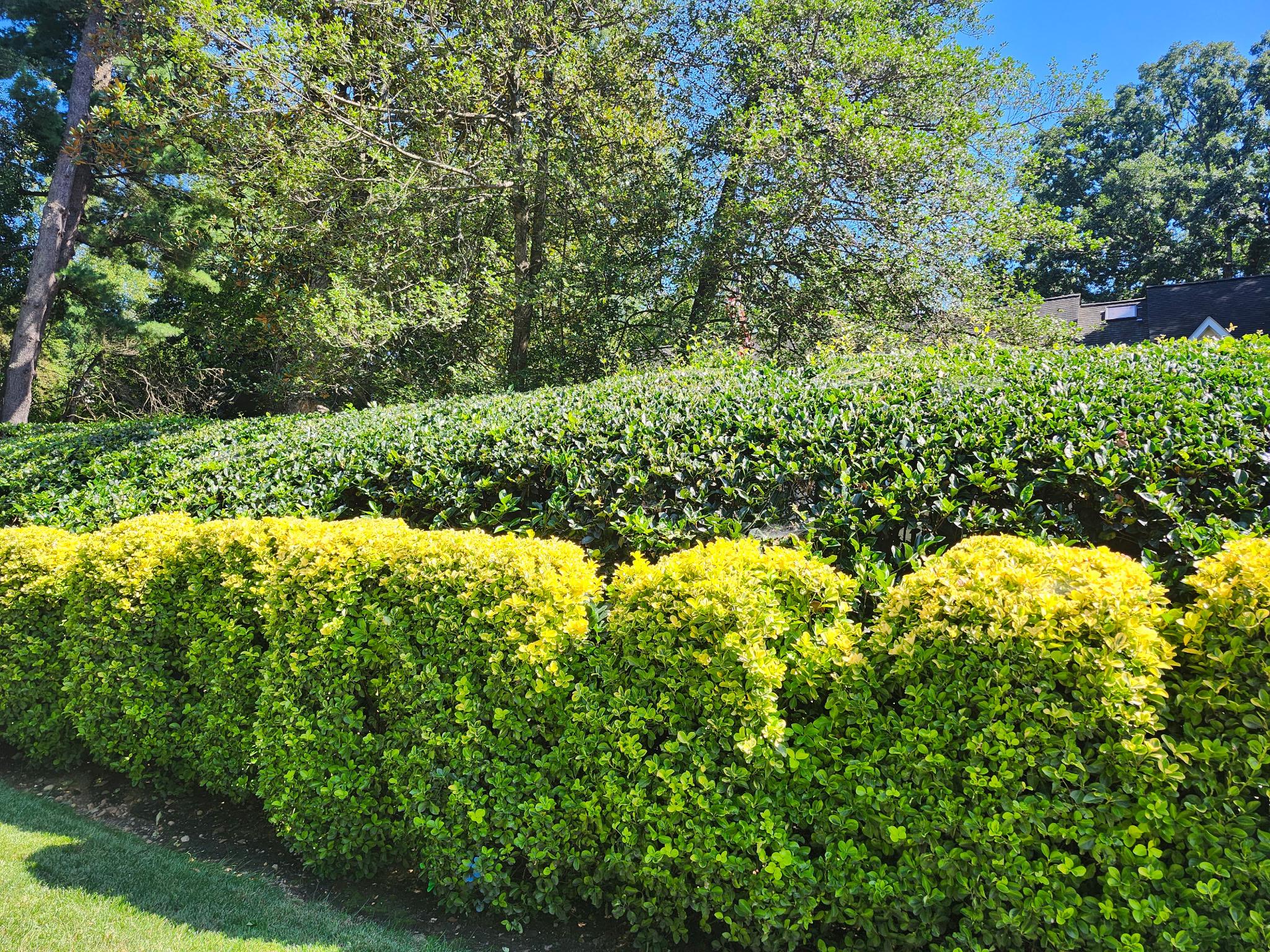  3610 East West Highway 3610, Chevy Chase, MD, 20815 - 物件實景