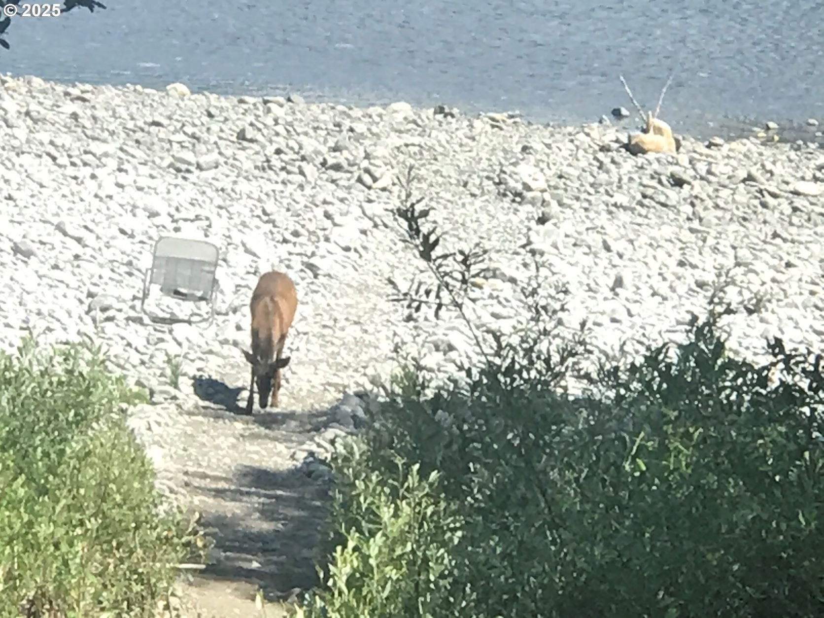 Brookings, Oregon, 97415, United States, 1 Bedroom Bedrooms, ,1 BathroomBathrooms,Residential,For Sale,1979383