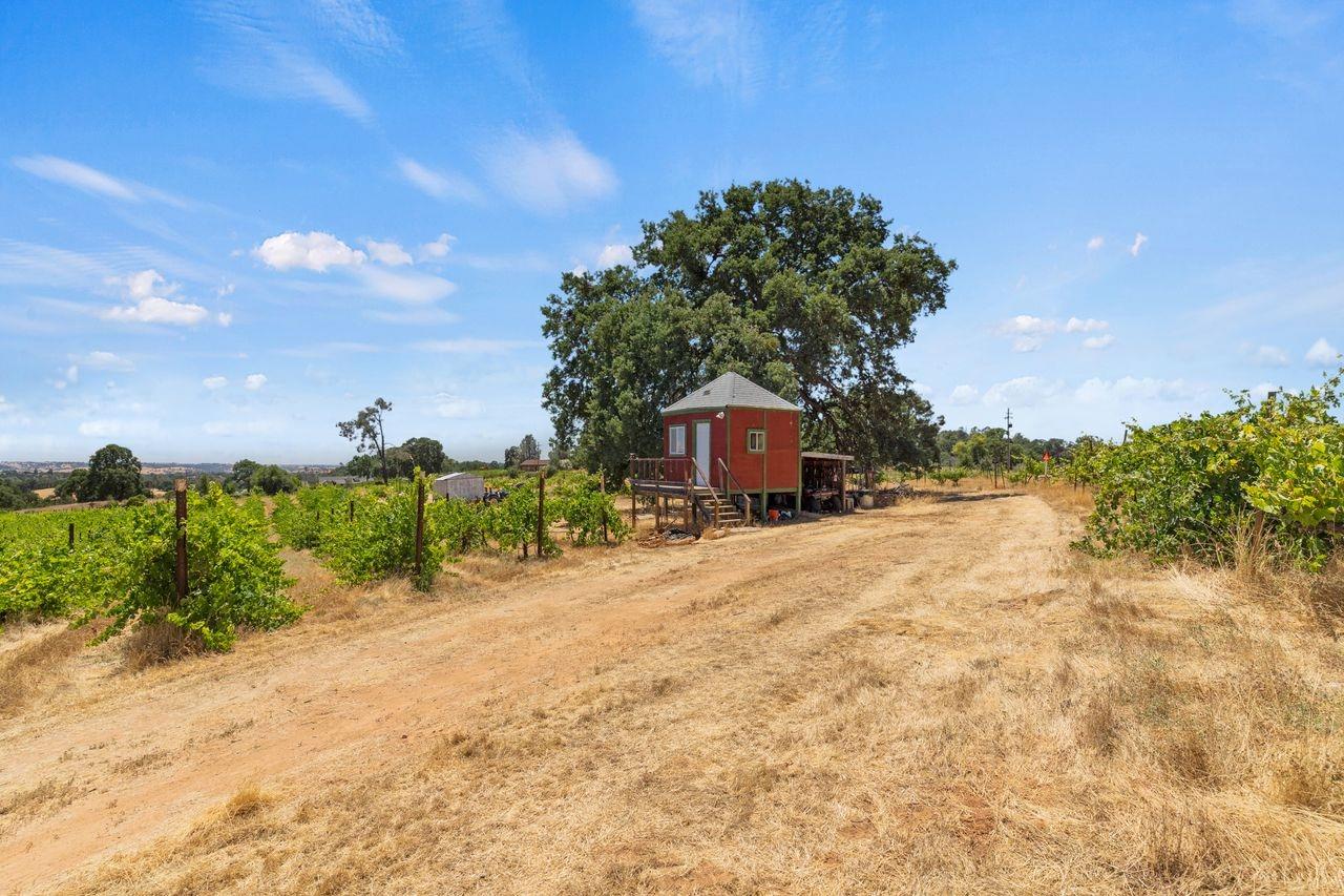 21226 Dickson Road, Plymouth, California, 95669, United States, ,Land,For Sale,21226 Dickson Road,1672447