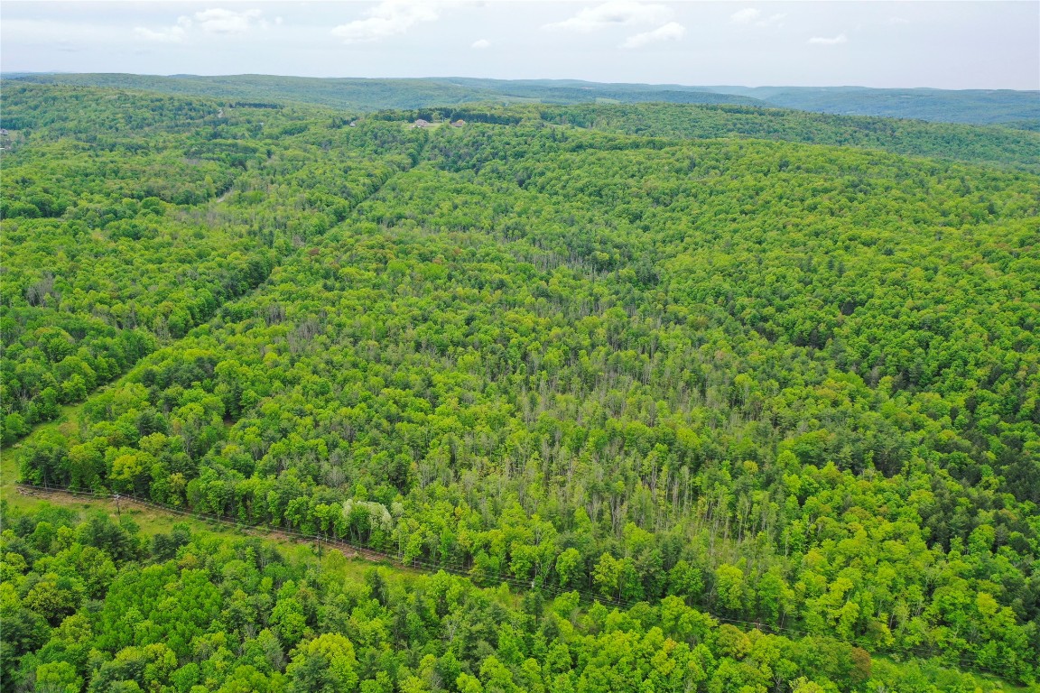 Vestal, New York, 13850, United States, ,Residential,For Sale,1935631