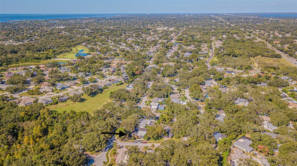 Palm Harbor, Florida, 34683, United States, 4 Bedrooms Bedrooms, ,3 BathroomsBathrooms,Residential,For Sale,1974920