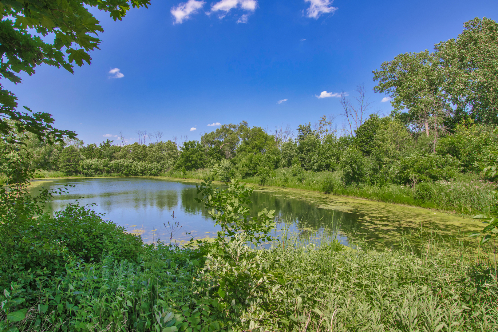 Beach Park, Illinois, 60087, United States, ,Residential,For Sale,1823350