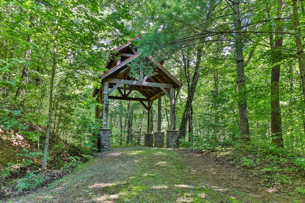 Cherry Log, Georgia, 30522, United States, ,Land,For Sale,1858995