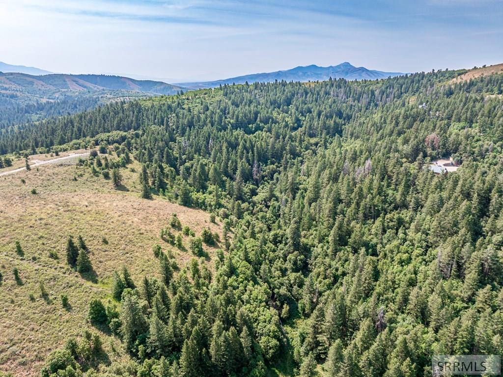 POCATELLO, Idaho, 83201, United States, ,Residential,For Sale,1921602