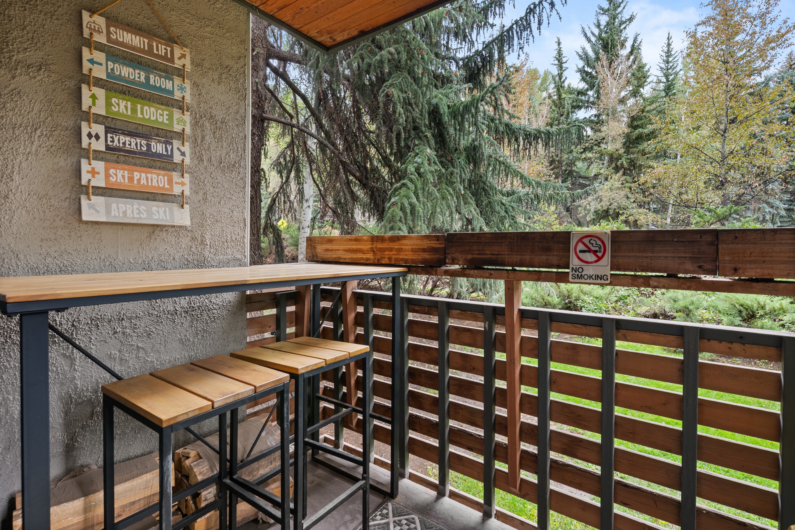  910 W Hallam Street, Aspen, CO, 81611 - 物件實景