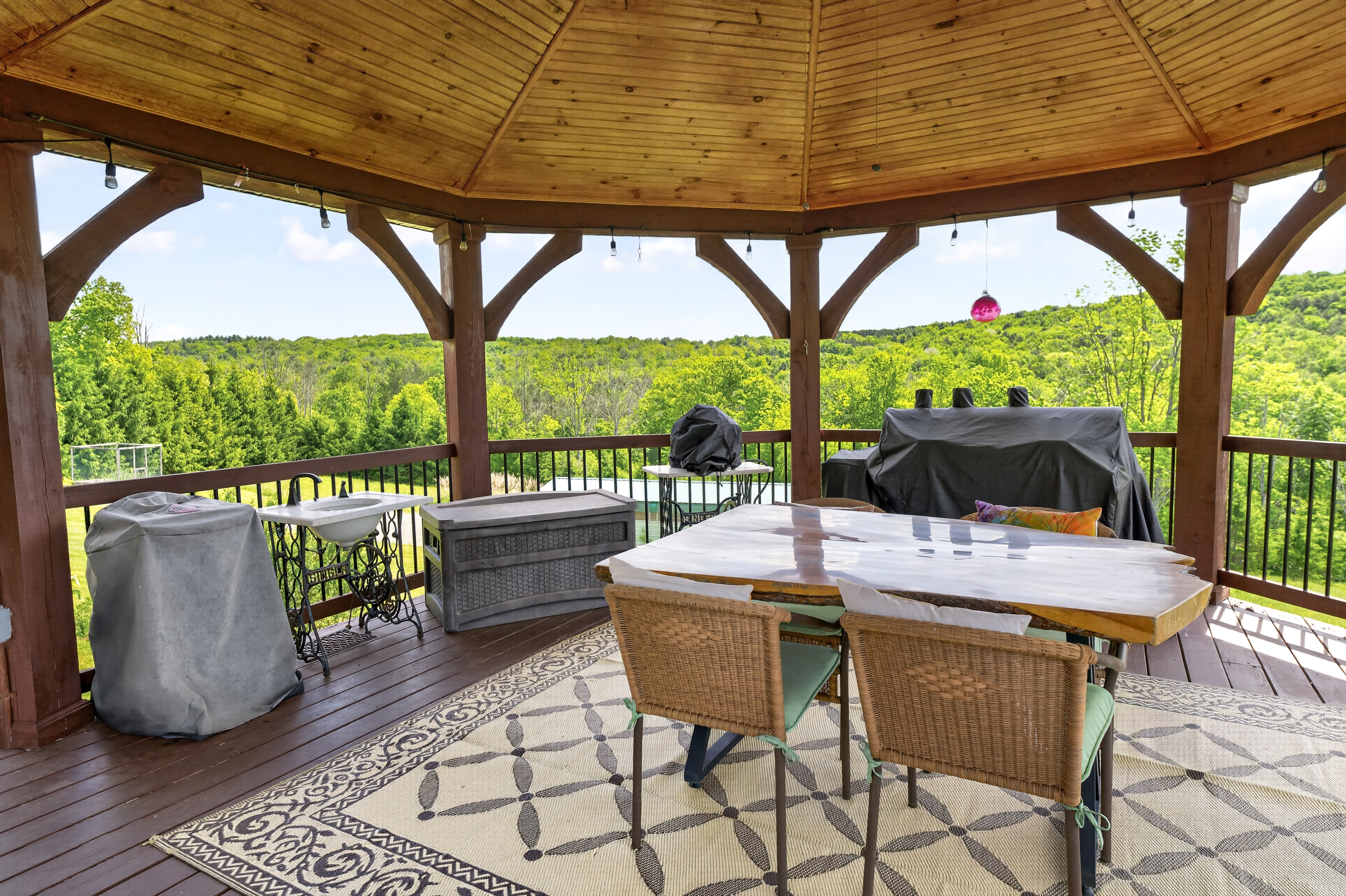  Scenic Southern Tier Hilltop Retreat - 物件實景