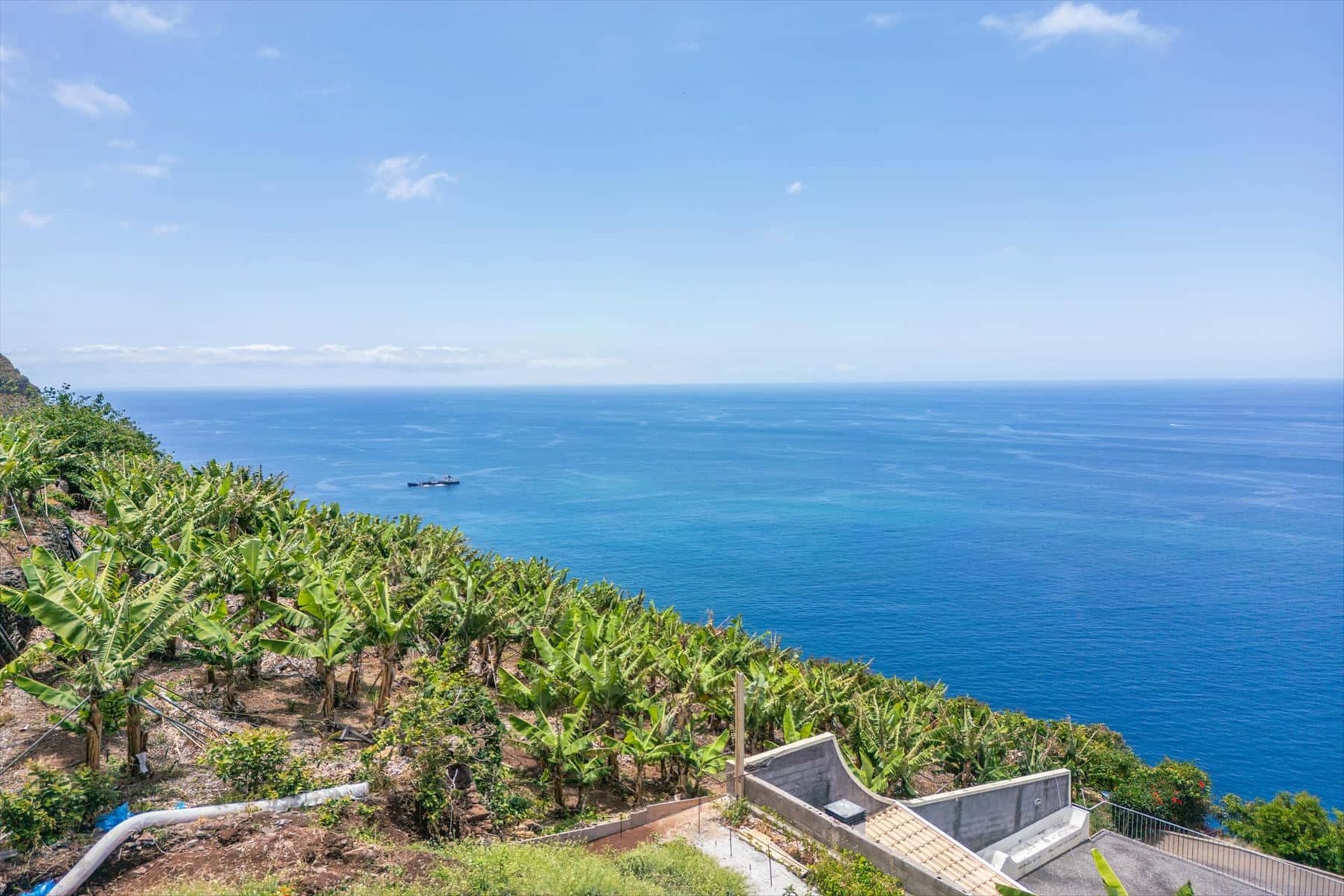  Stand for Sale - 物件實景