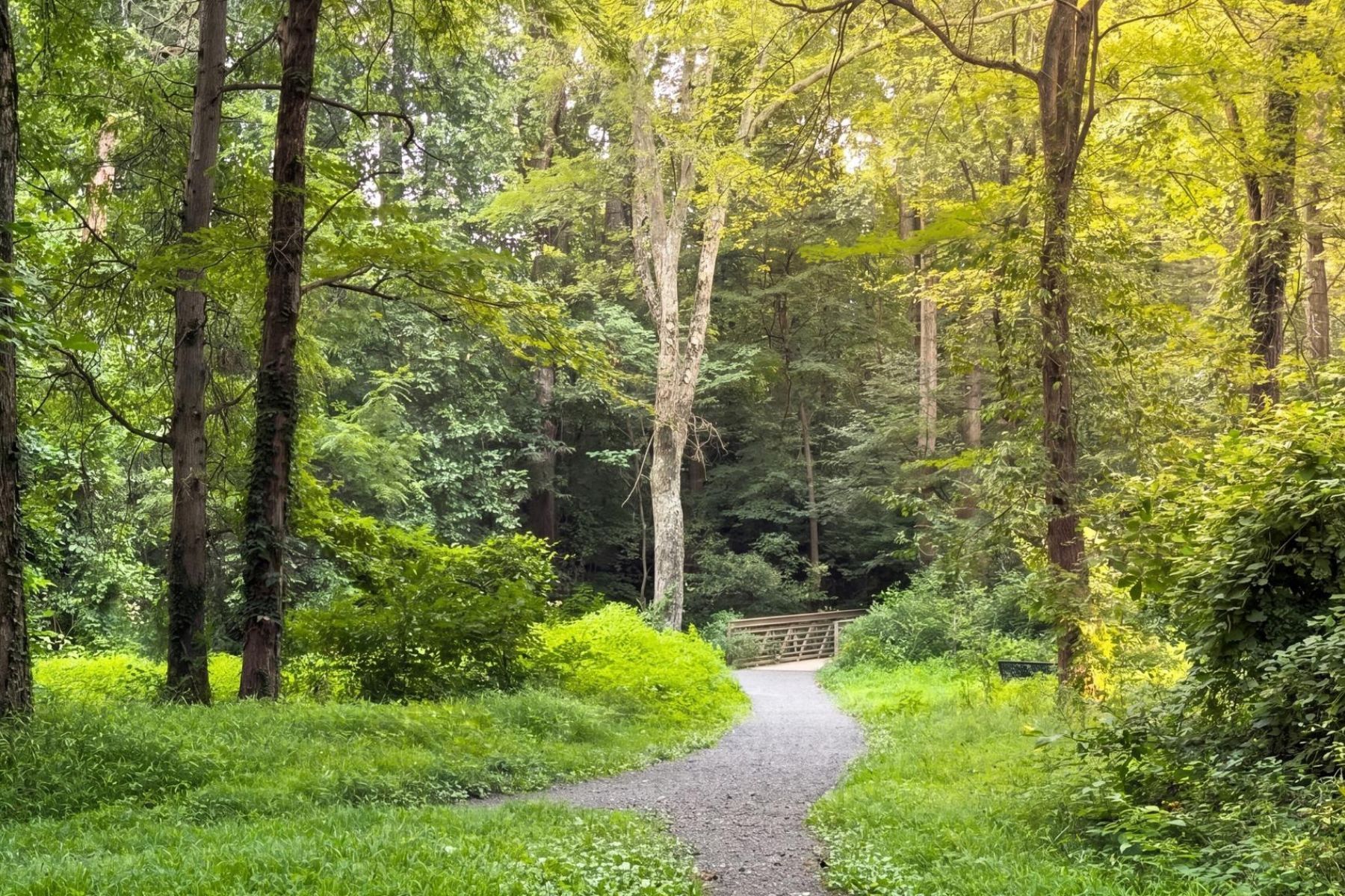  1216 Earnestine Street, Mclean, VA, 22101 - 物件實景