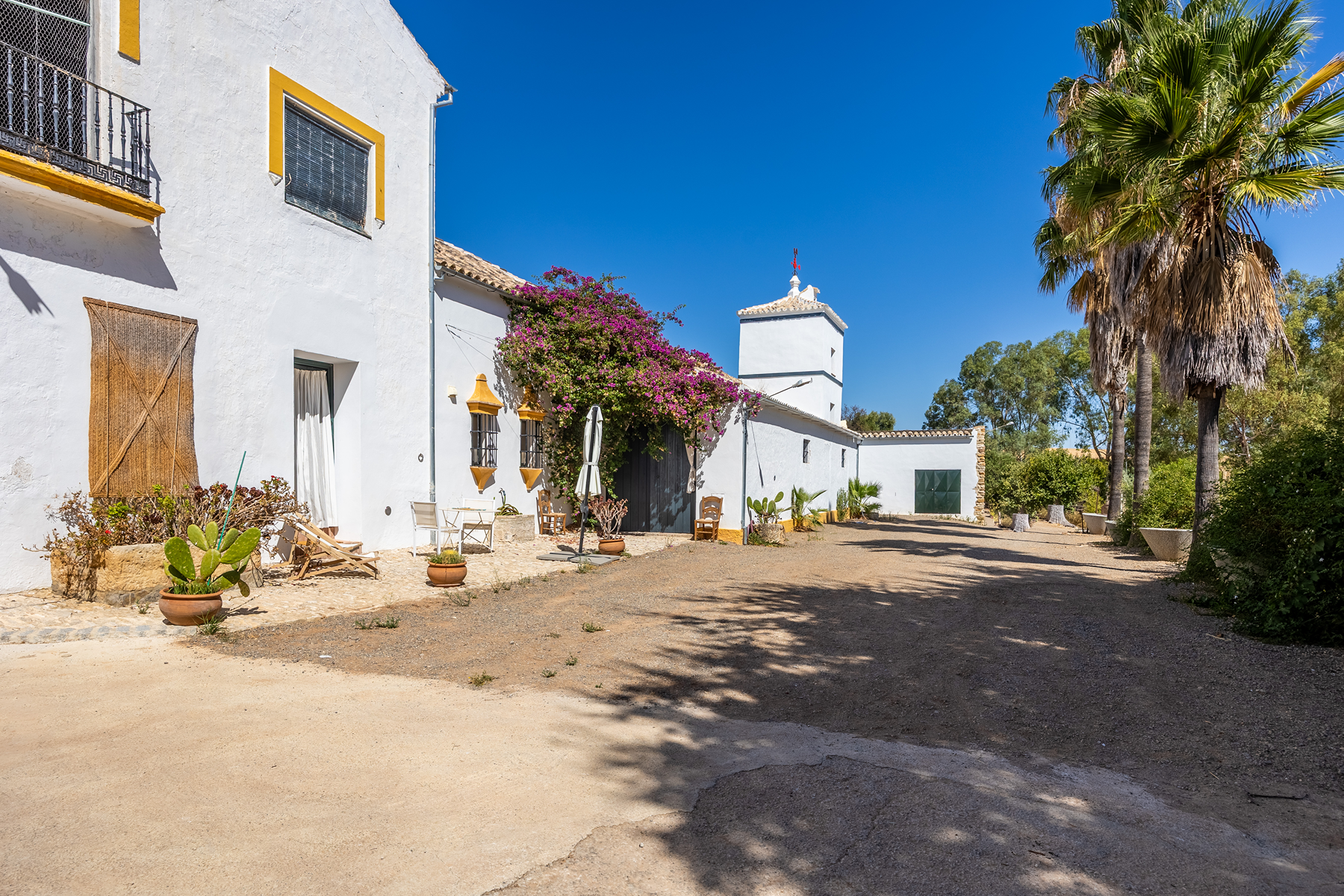  Country house in the province of Cádiz - 物件實景
