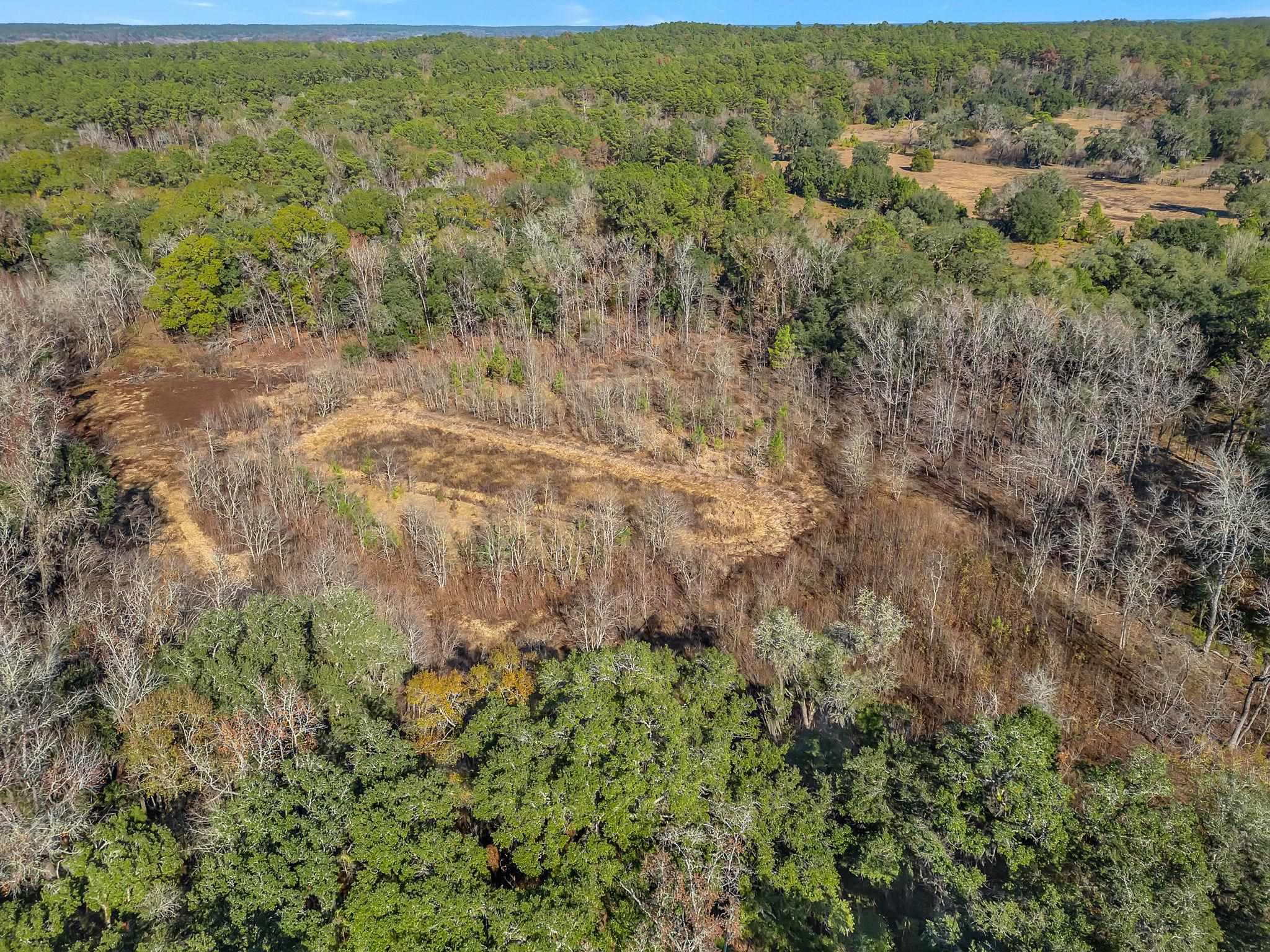 Tallahassee, Florida, 32312, United States, ,Land,For Sale,2003091