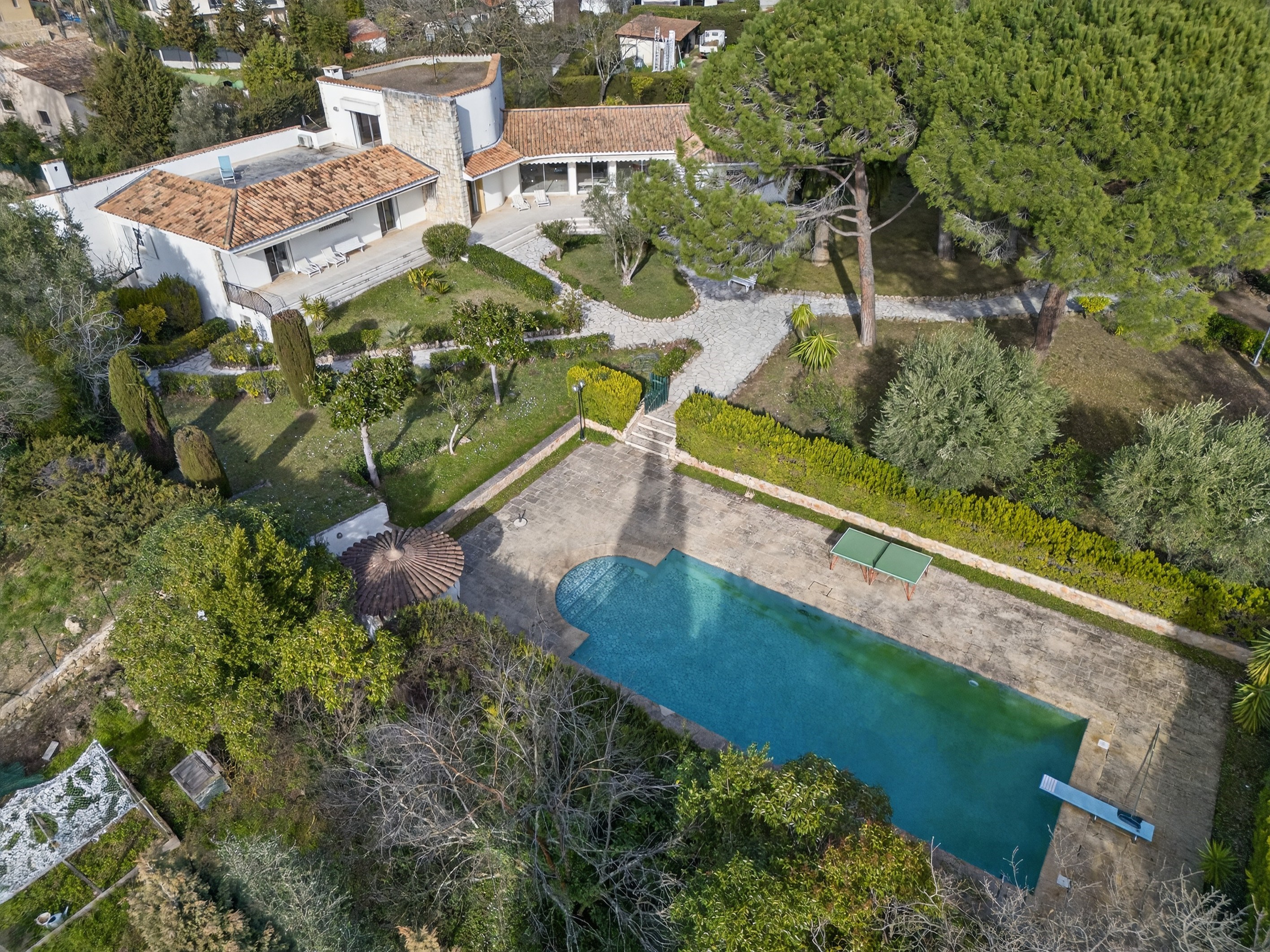 Private estate in Mougins close to Cannes and international schools - 物件實景