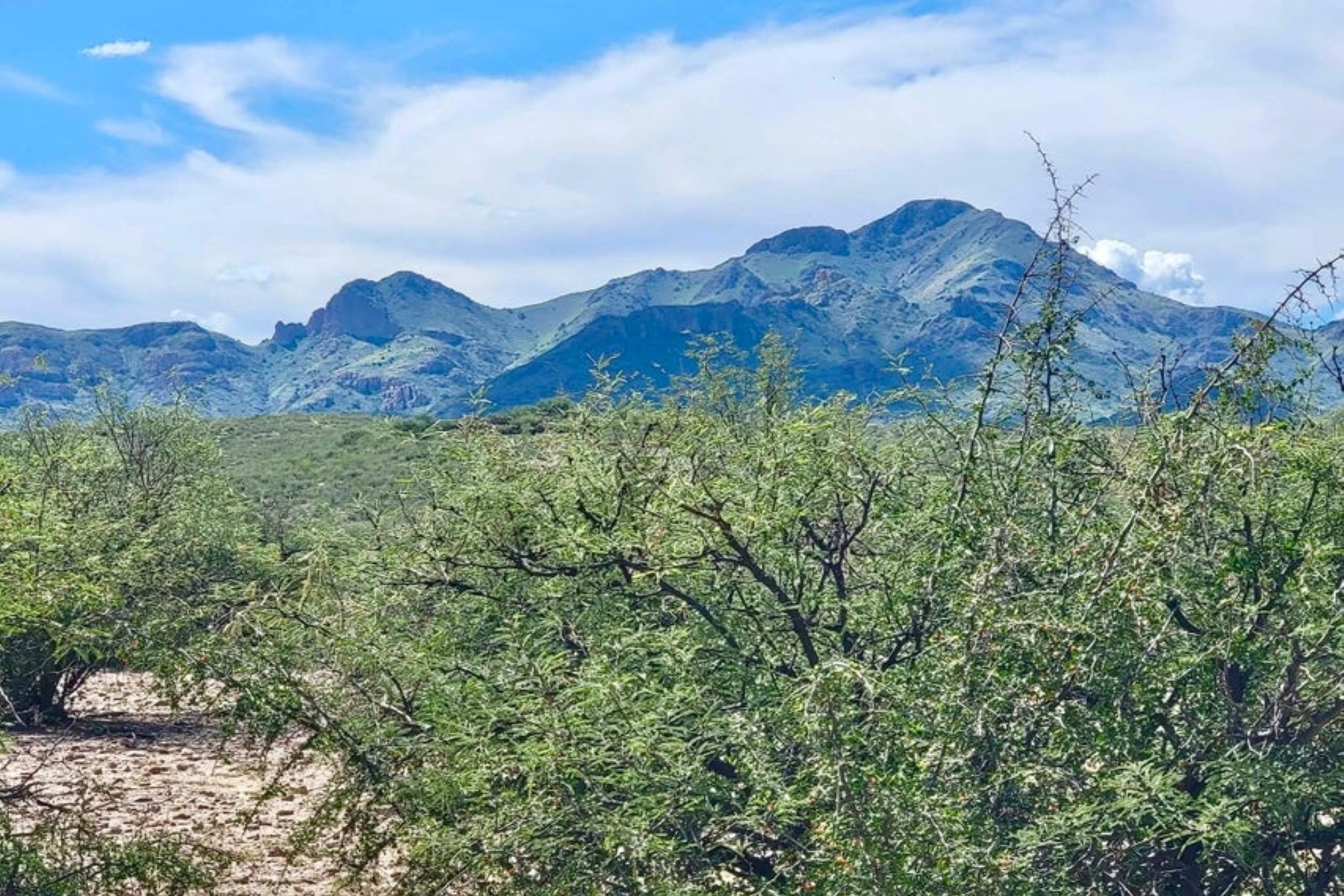  TBD Garrett Ranch Rd¦Tubac, AZ - 物件實景
