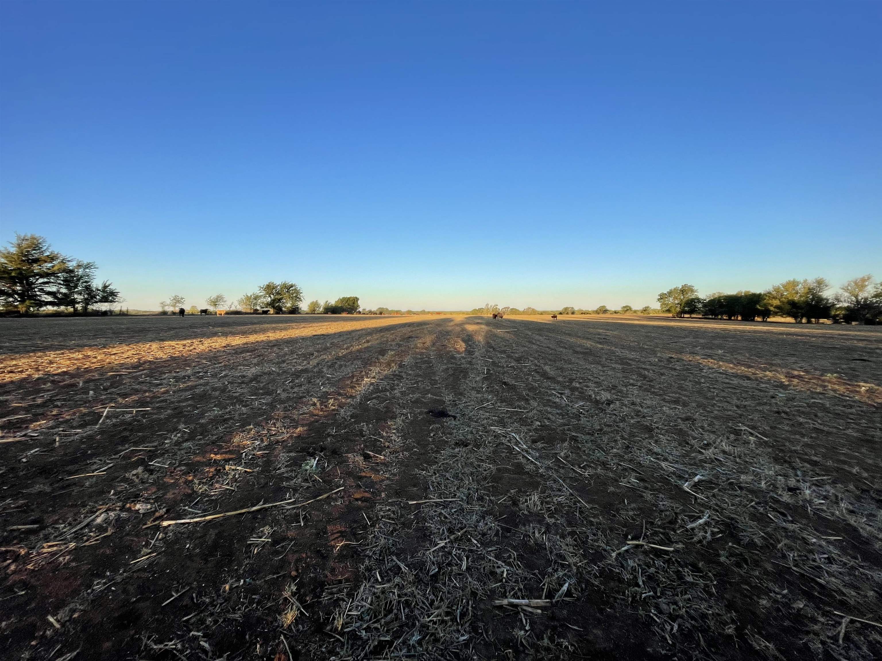 00000 SW Hwy 77, El Dorado, Kansas, 67042, United States, ,Residential,For Sale,00000 SW Hwy 77,1419987