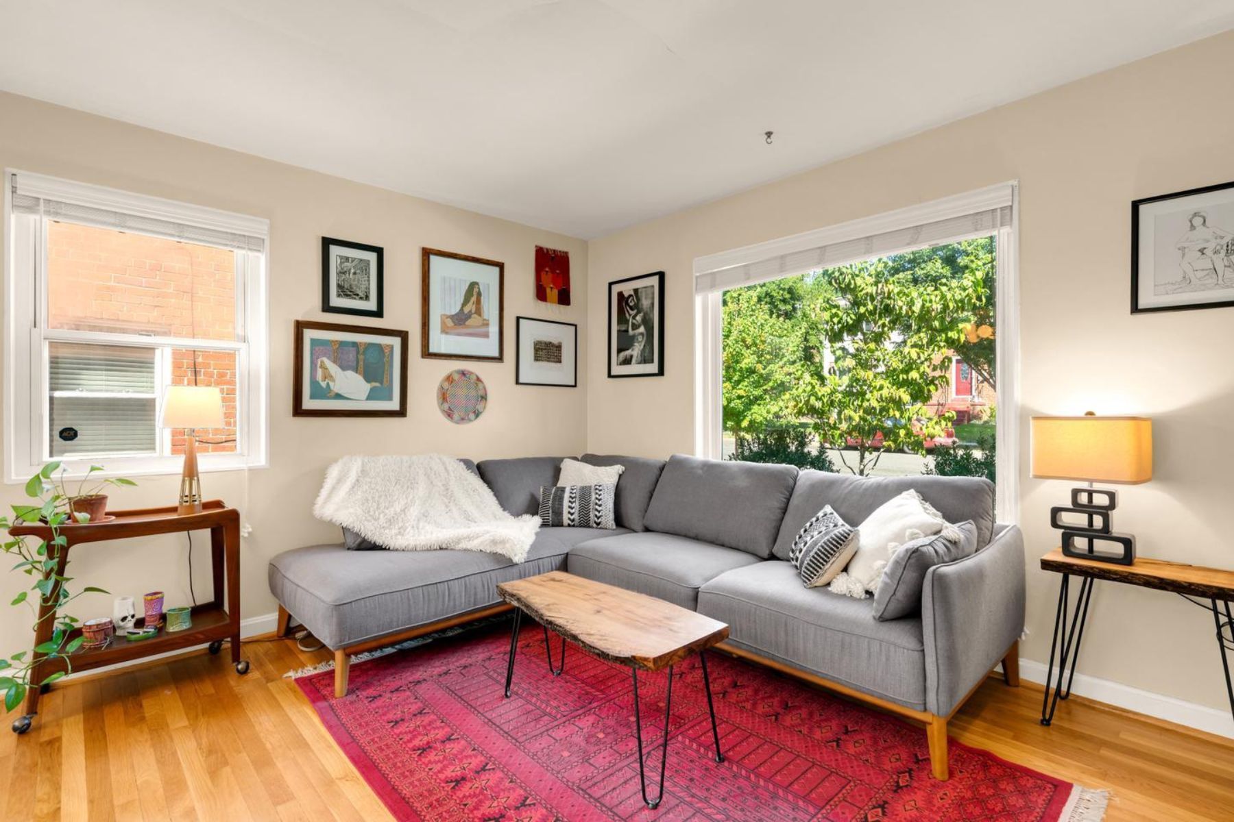  231 Nicholson Street NE, Washington, DC, 20011 - 物件實景