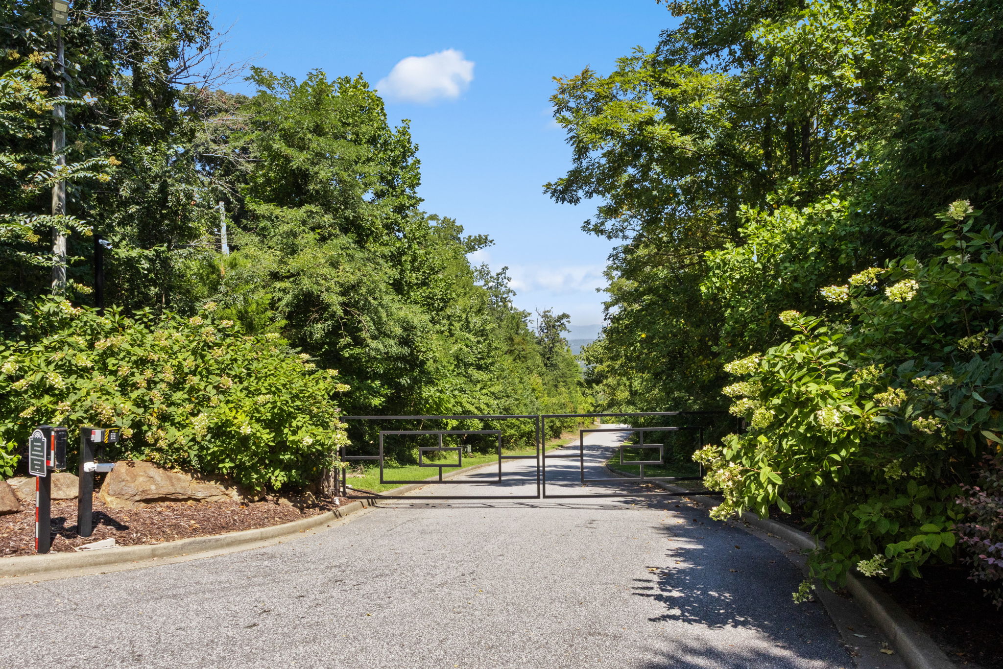  101 Frangipani Way, Greenville, SC 29609 - 物件實景