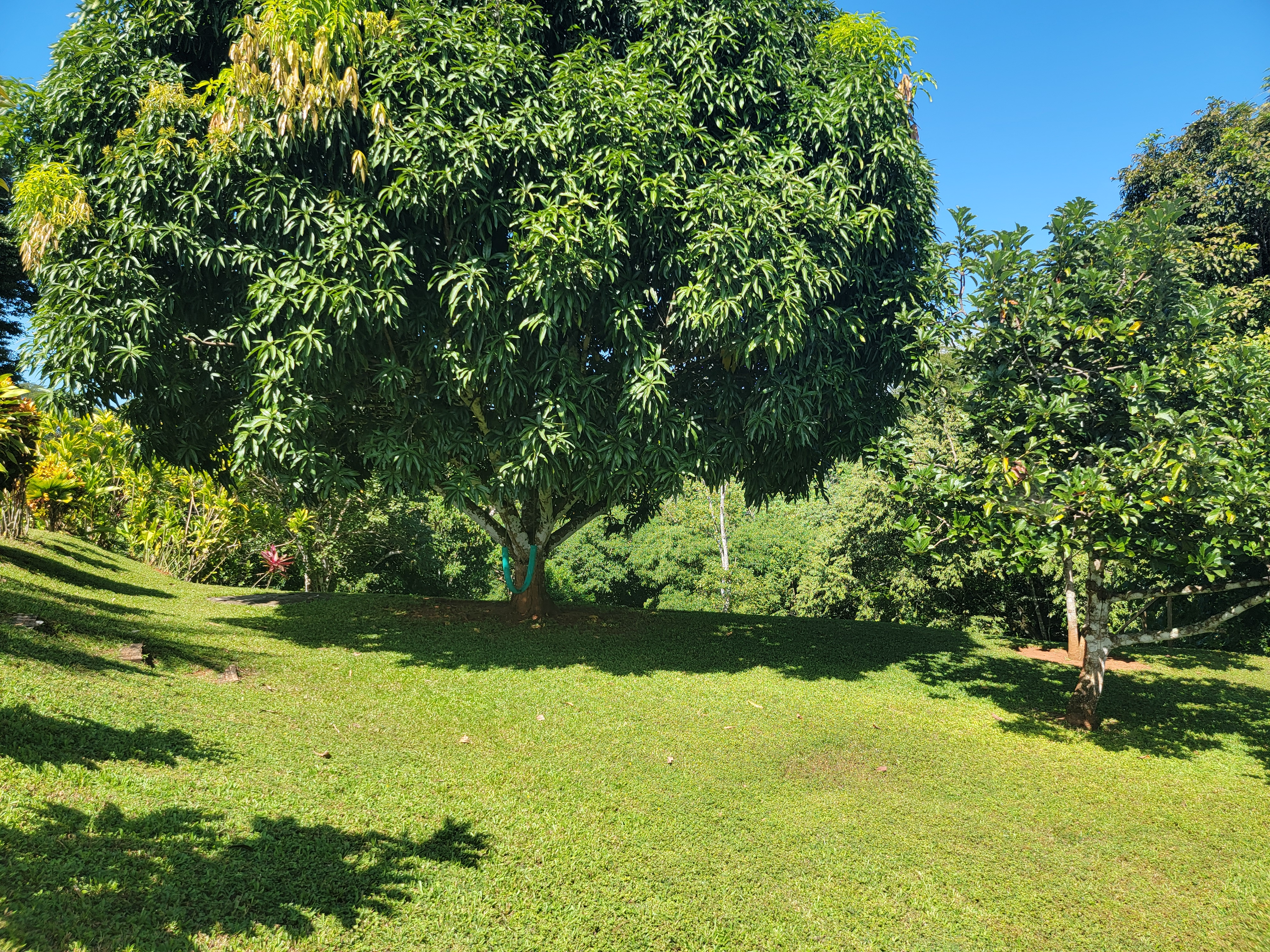 Bajo Capulin, Puntarenas Province, Tarcoles, Puntarenas, CR, 3 Bedrooms Bedrooms, ,3 BathroomsBathrooms,Residential,For Sale,Bajo Capulin, Puntarenas Province,1655657