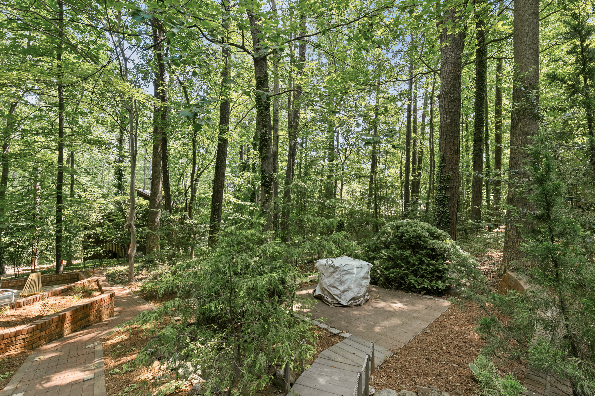  1429 Arboretum Drive, Chapel Hill, NC 27517 - 物件實景
