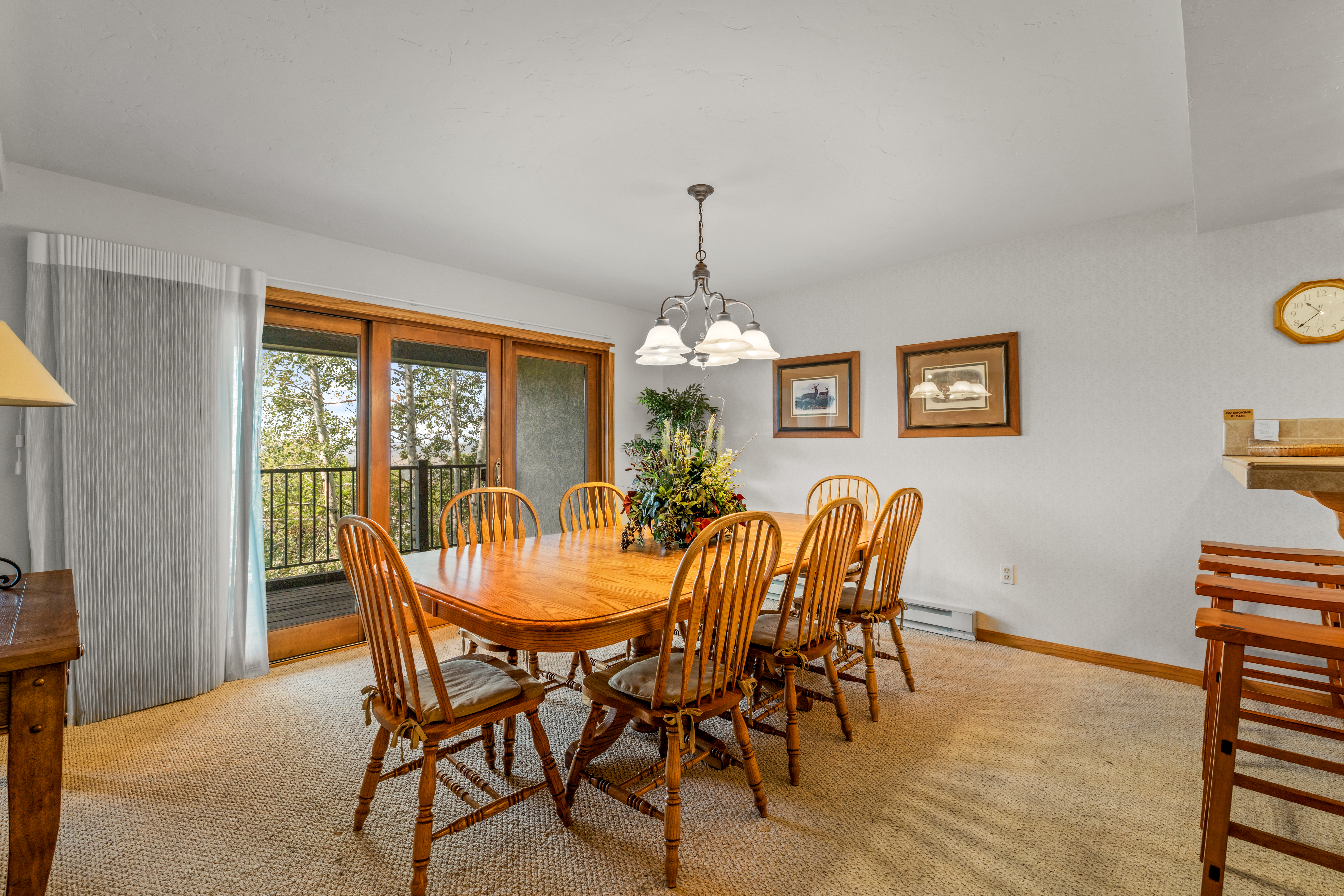  2290 Storm Meadows Drive, Steamboat Springs, CO, 80487 - 物件實景