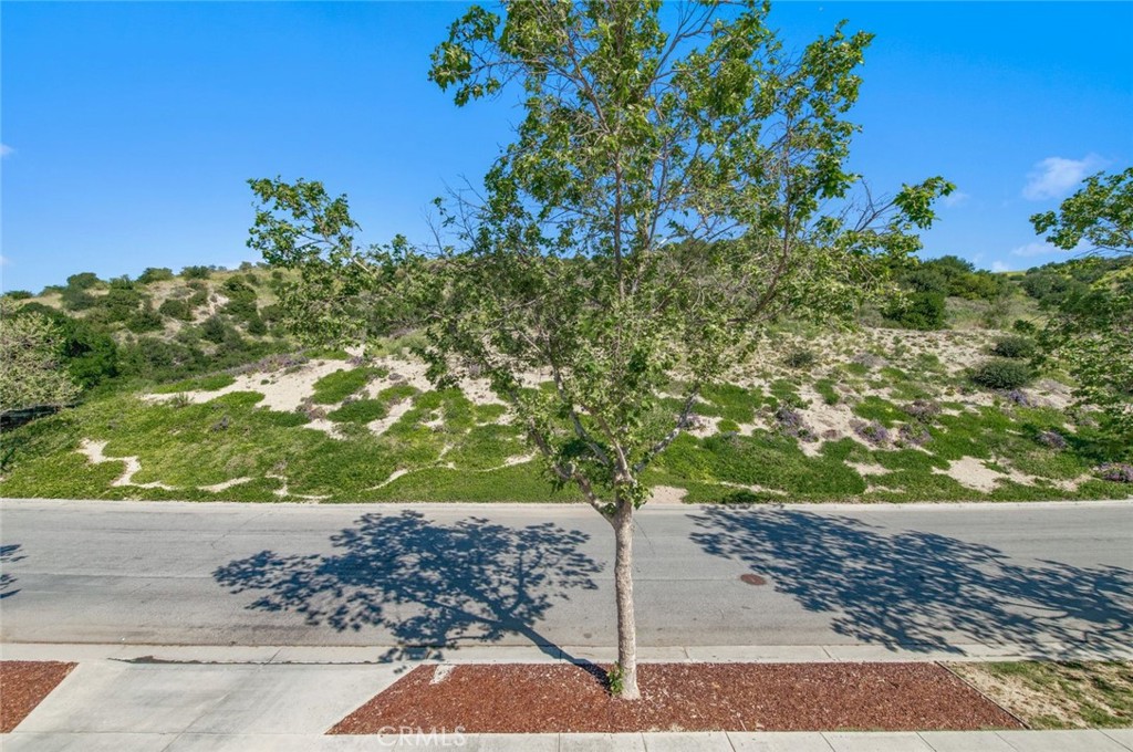 Walnut, California, 91789, United States, 4 Bedrooms Bedrooms, ,5 BathroomsBathrooms,Residential,For Sale,2030257