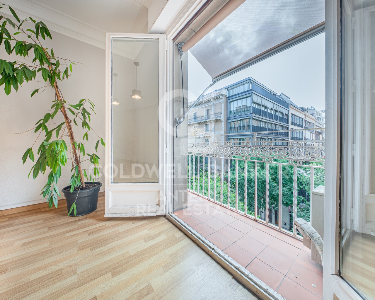 Barcelona, Catalonia, ES, 6 Bedrooms Bedrooms, ,3 BathroomsBathrooms,Residential,For Sale,1907605