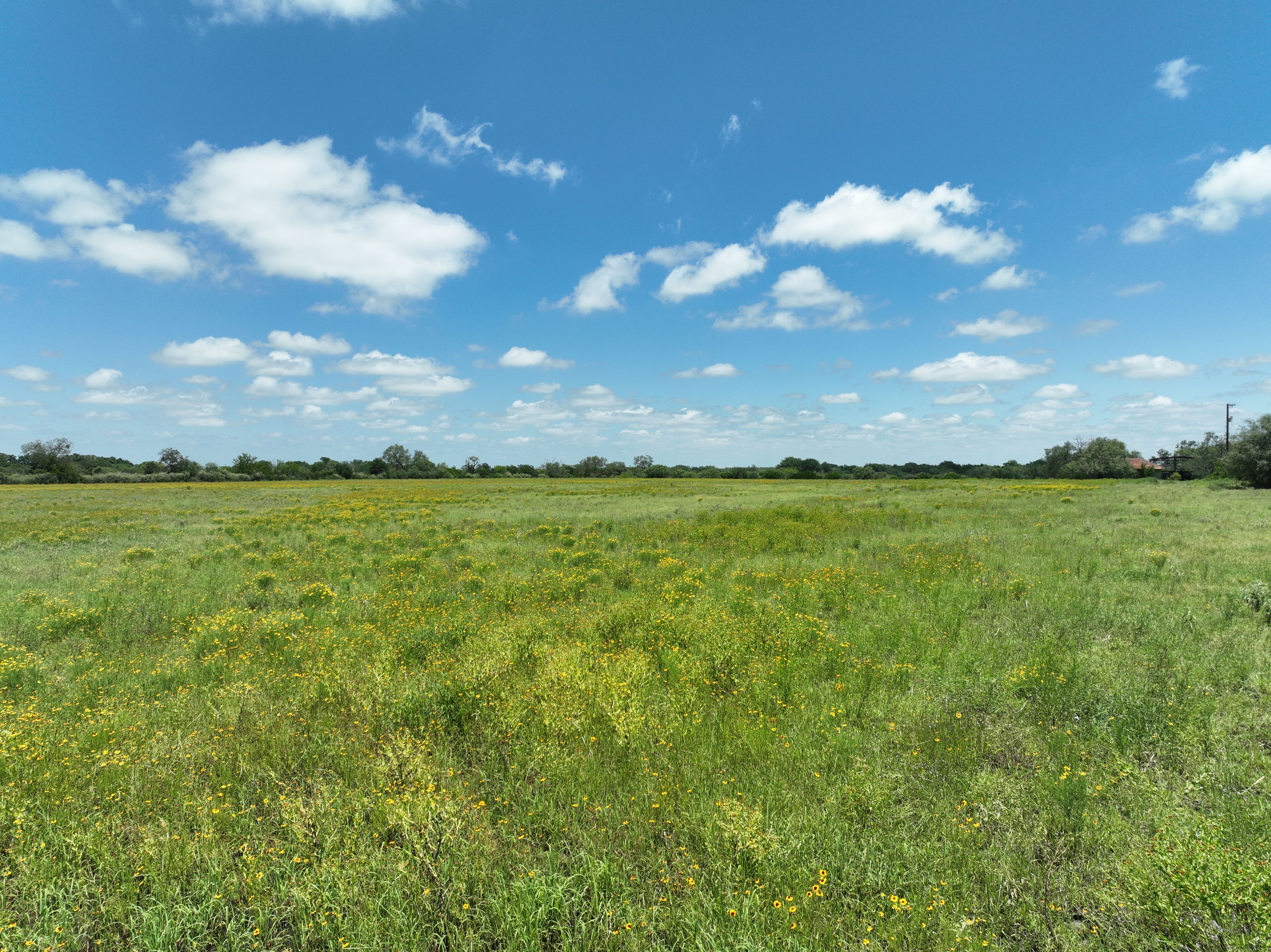  87.69+/- Acres in Bexar County - 物件實景
