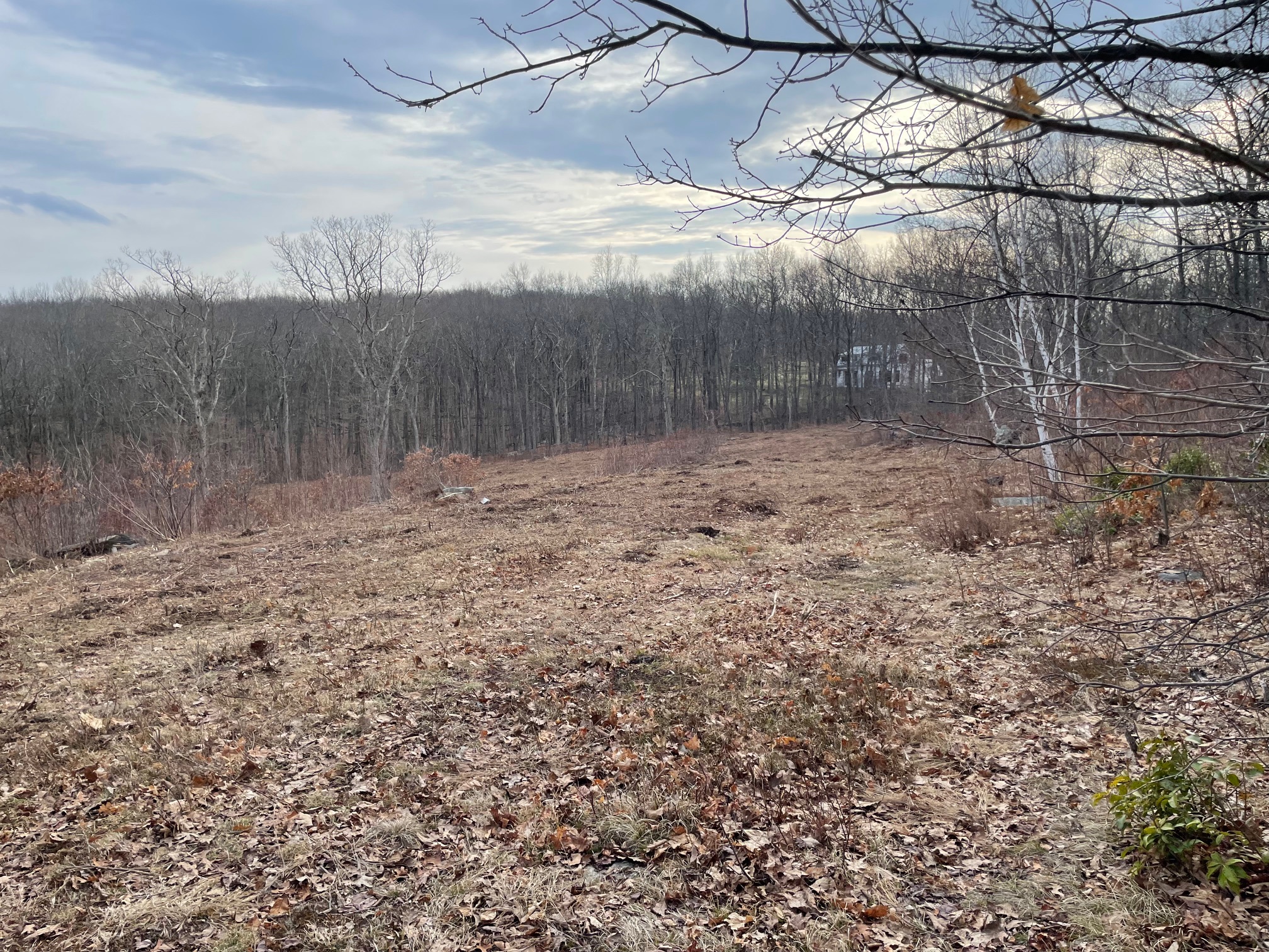  197 Tinker Hill Road - 物件實景