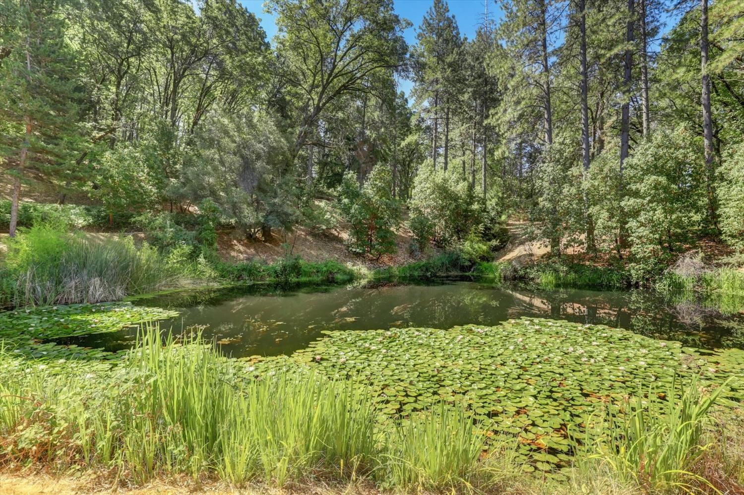Nevada City, California, 95959, United States, 3 Bedrooms Bedrooms, ,4 BathroomsBathrooms,Residential,For Sale,1903616