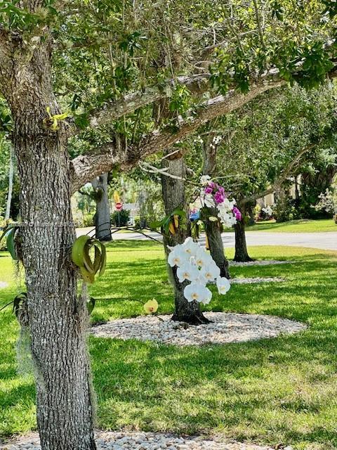 Palmetto Bay, Florida, 33158, United States, 4 Bedrooms Bedrooms, ,3 BathroomsBathrooms,Residential,For Sale,1995550